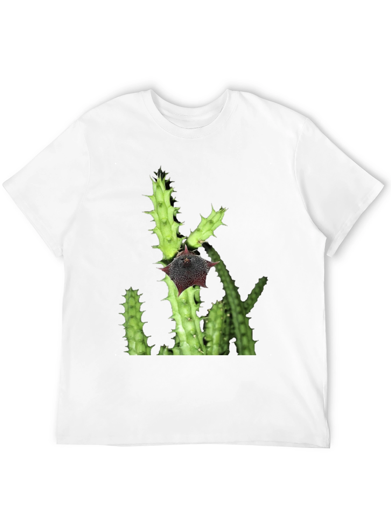 Cactus Flower Graphic T-Shirt