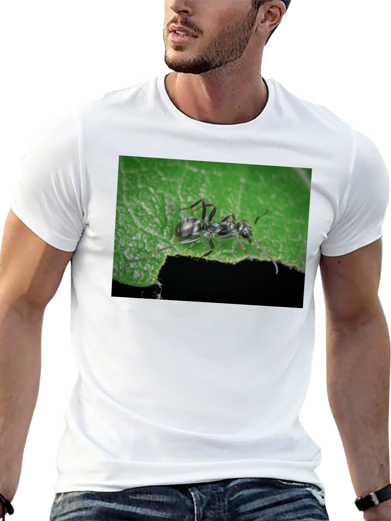 Ant on Leaf Graphic Tee - Nature Lovers T-Shirt
