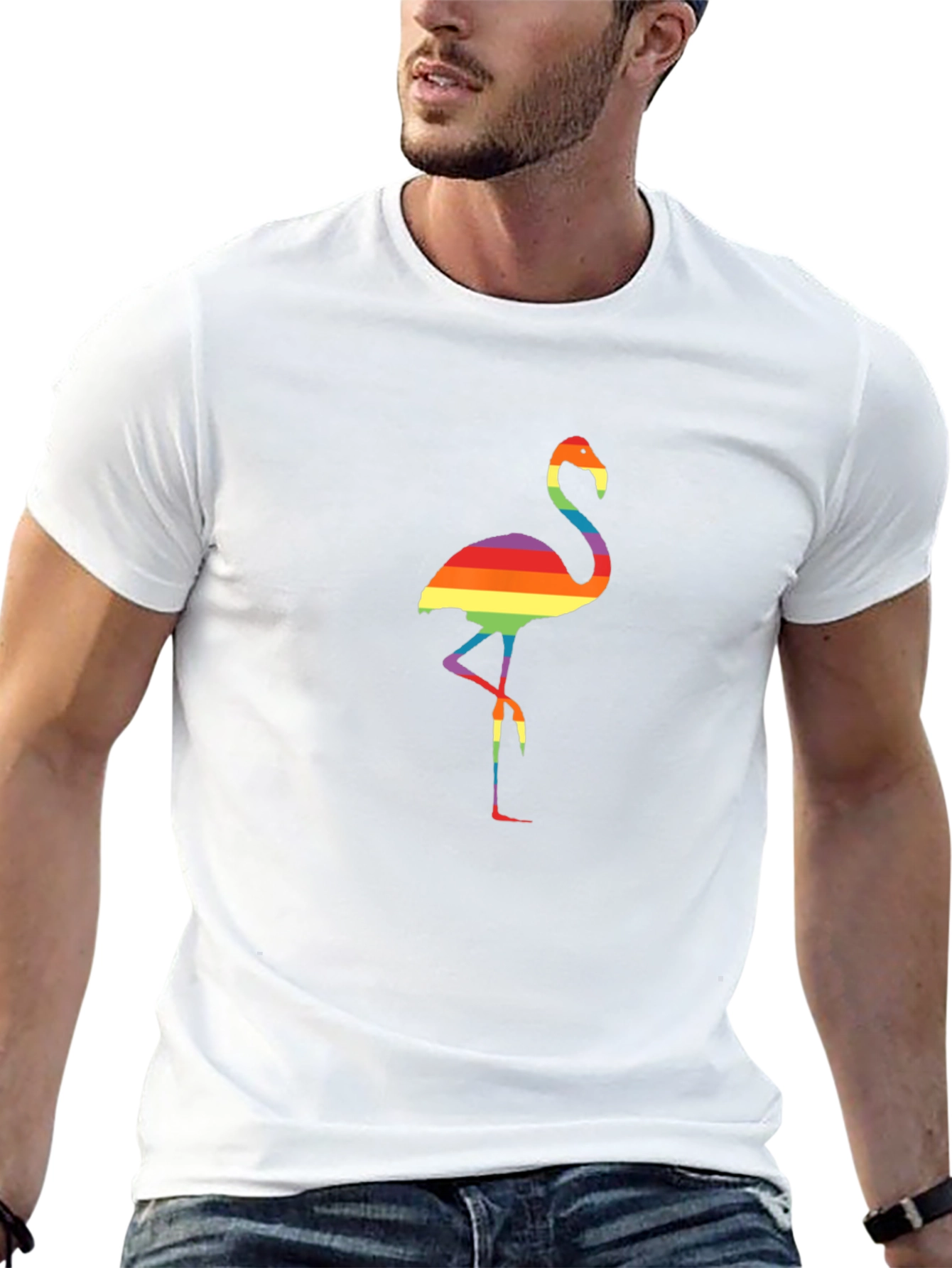 Rainbow Flamingo Graphic Tee - Black Casual Shirt