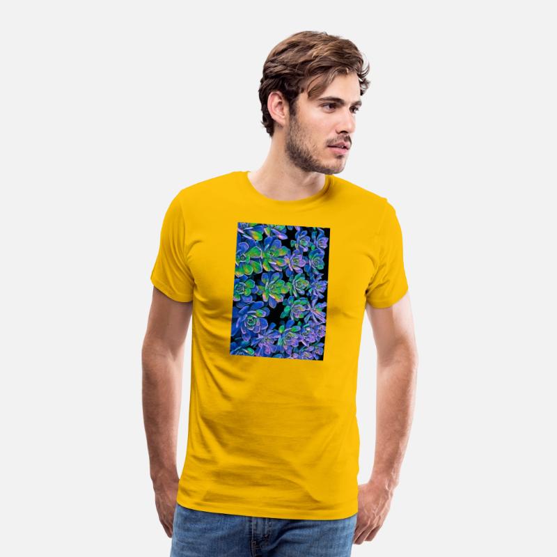Colorful Succulents 0017