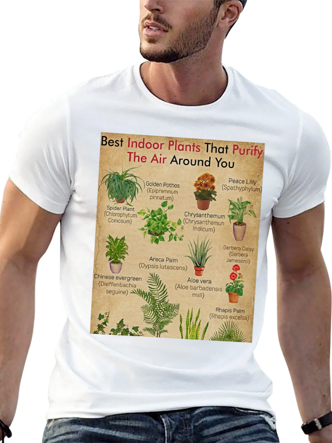 Indoor Plants Purify Air T-Shirt