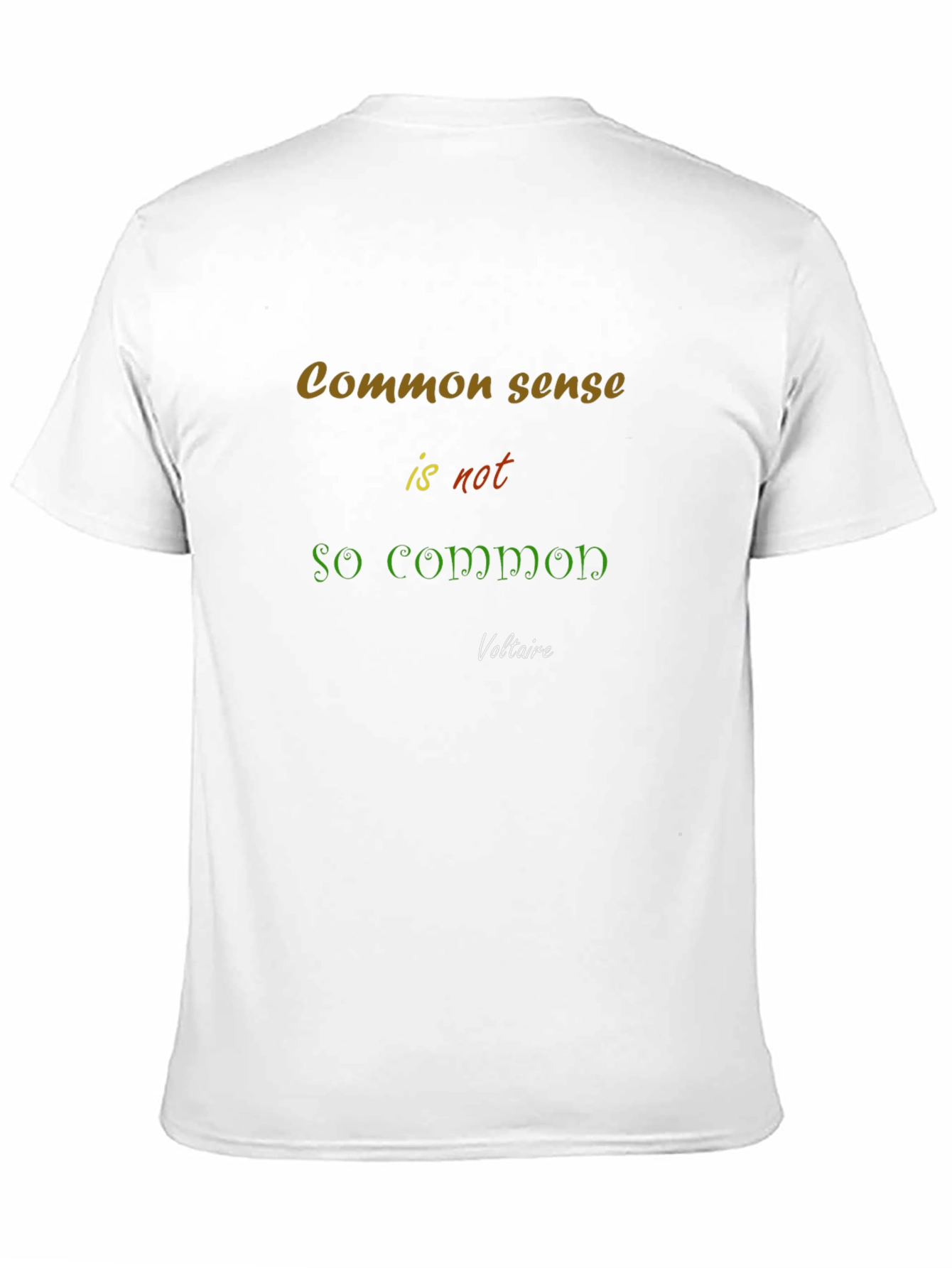 Common Sense T-Shirt - Voltaire Quote