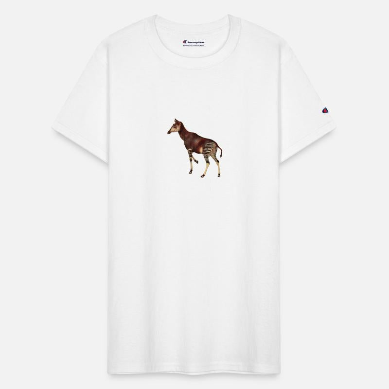 Okapi Zoo Expedition