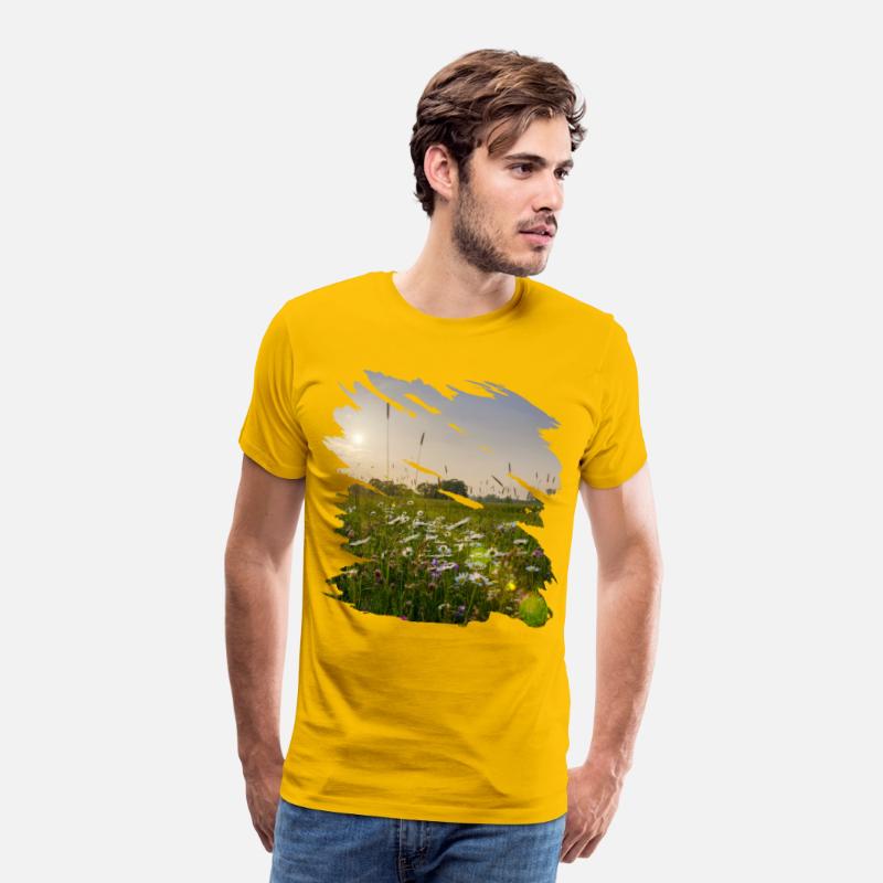 Picturesque flower meadow in sunlight
