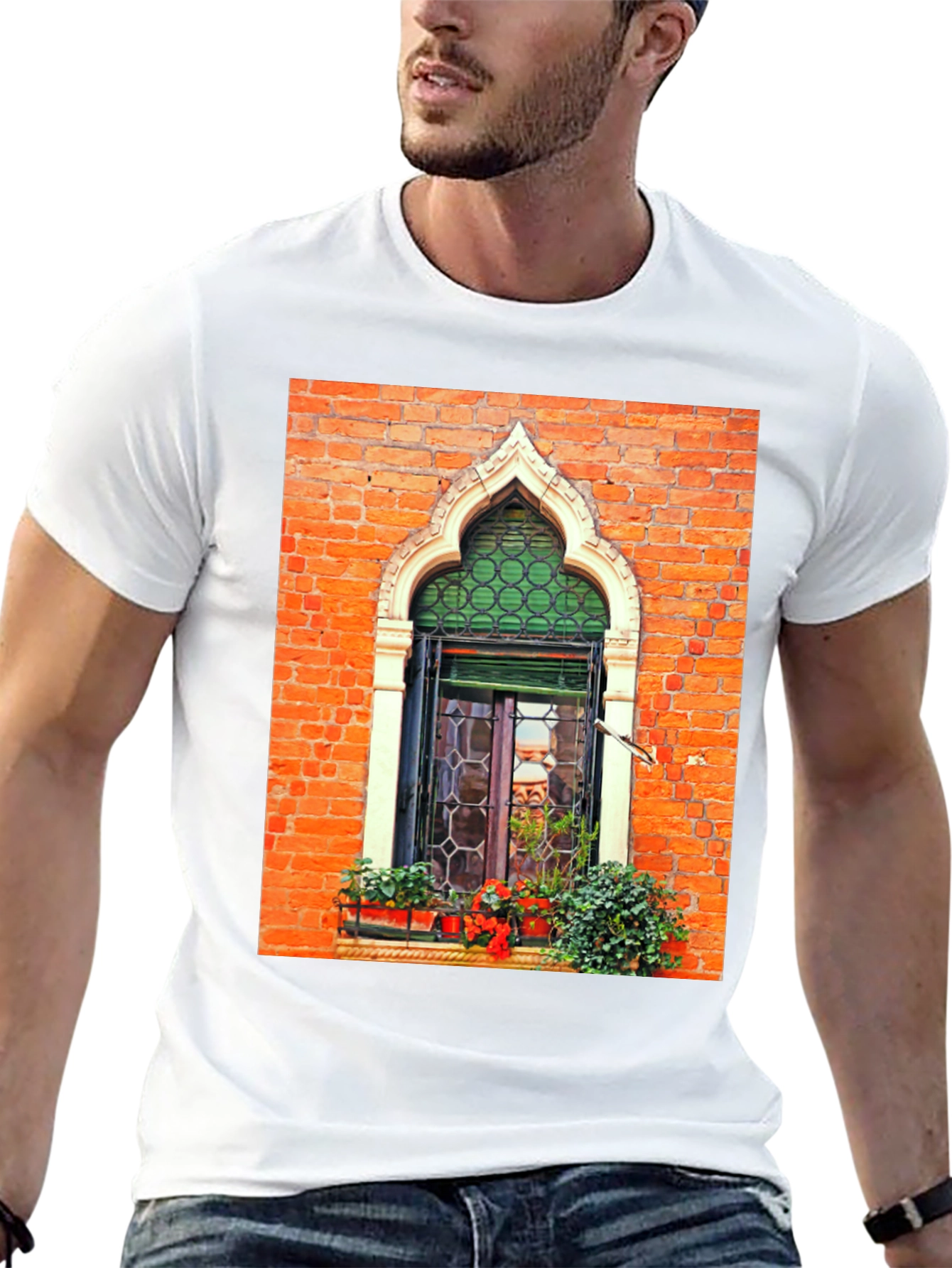 Venetian Window Graphic Tee - Unique Italian Architecture Shirt
