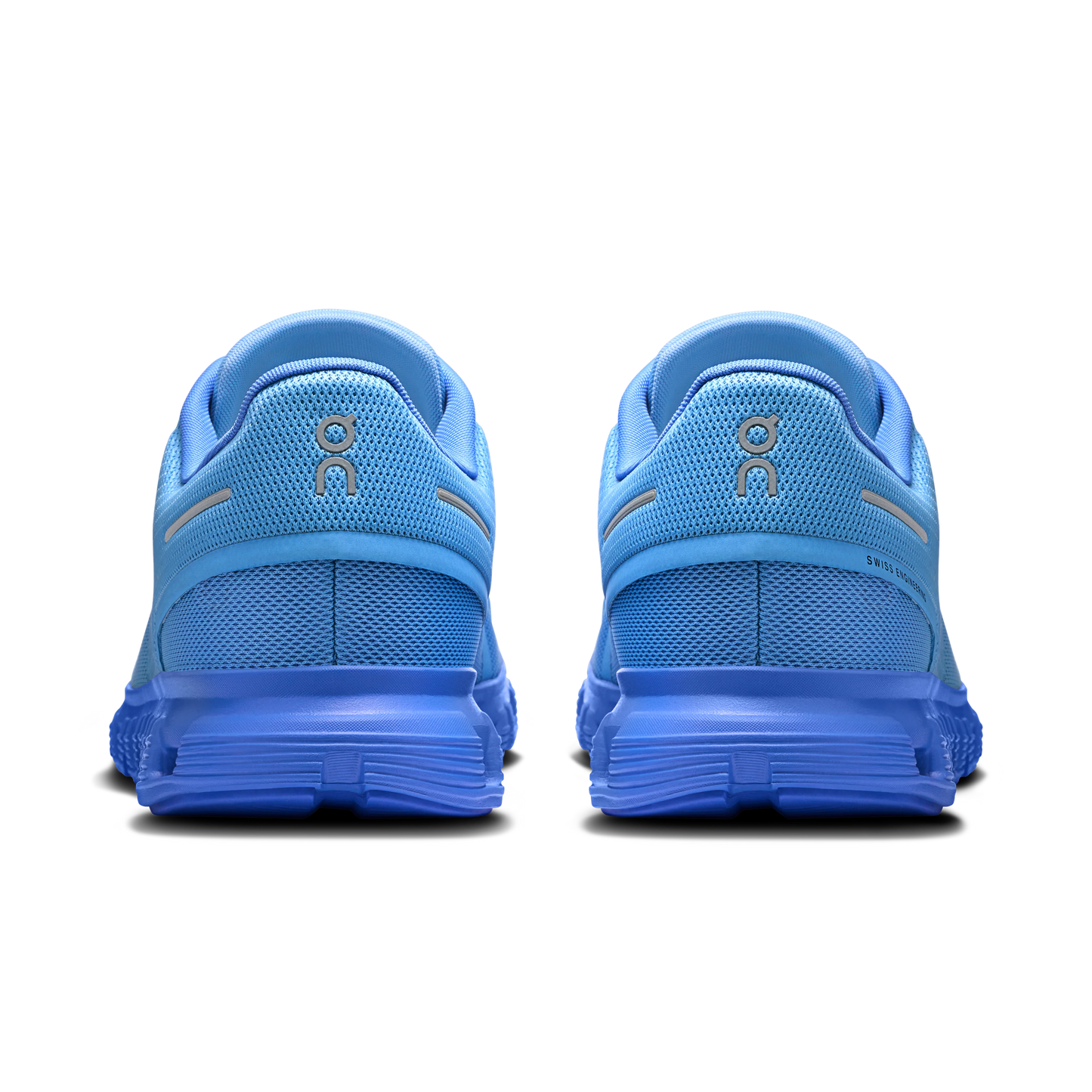 Cloud 6 SHF Gourami | Pier