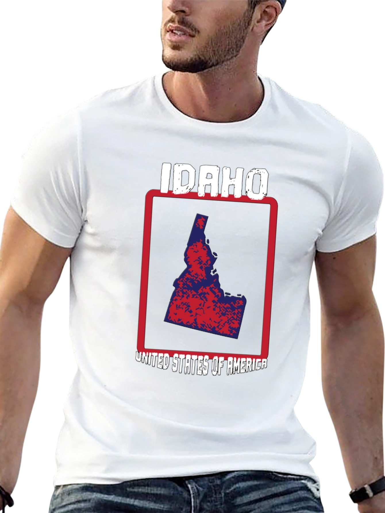 Idaho State Pride T-Shirt - USA Map Graphic Tee