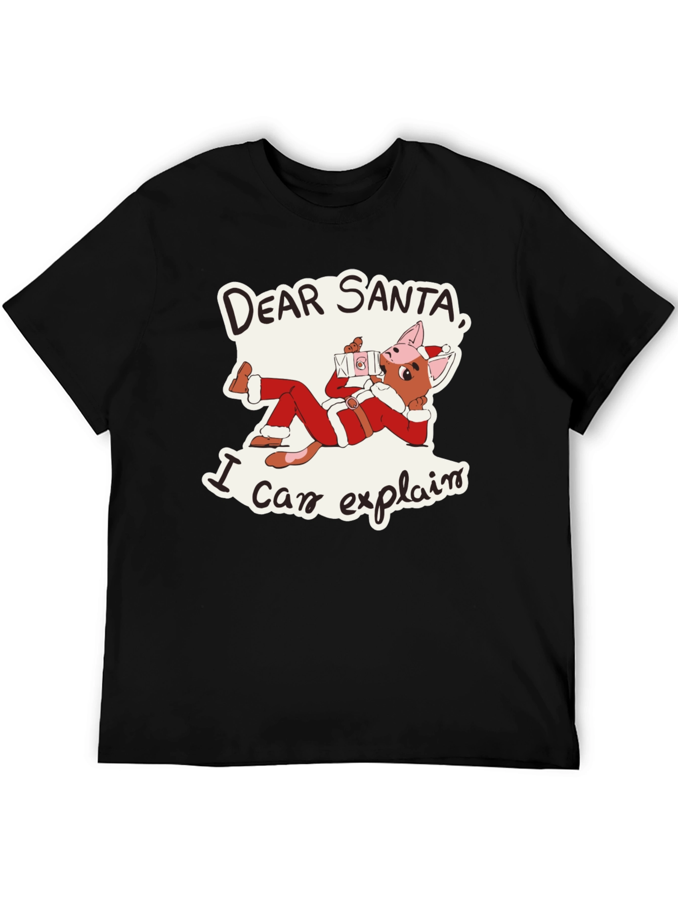 Dear Santa I Can Explain T-Shirt