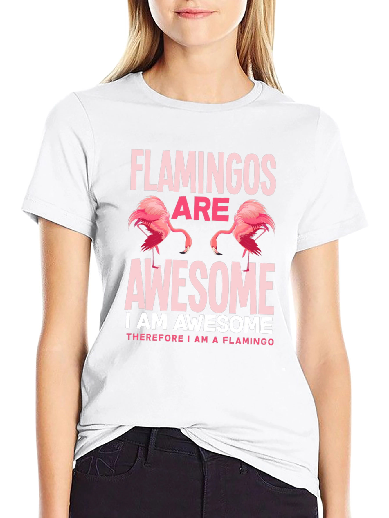 Flamingos Are Awesome Graphic Tee Shirt