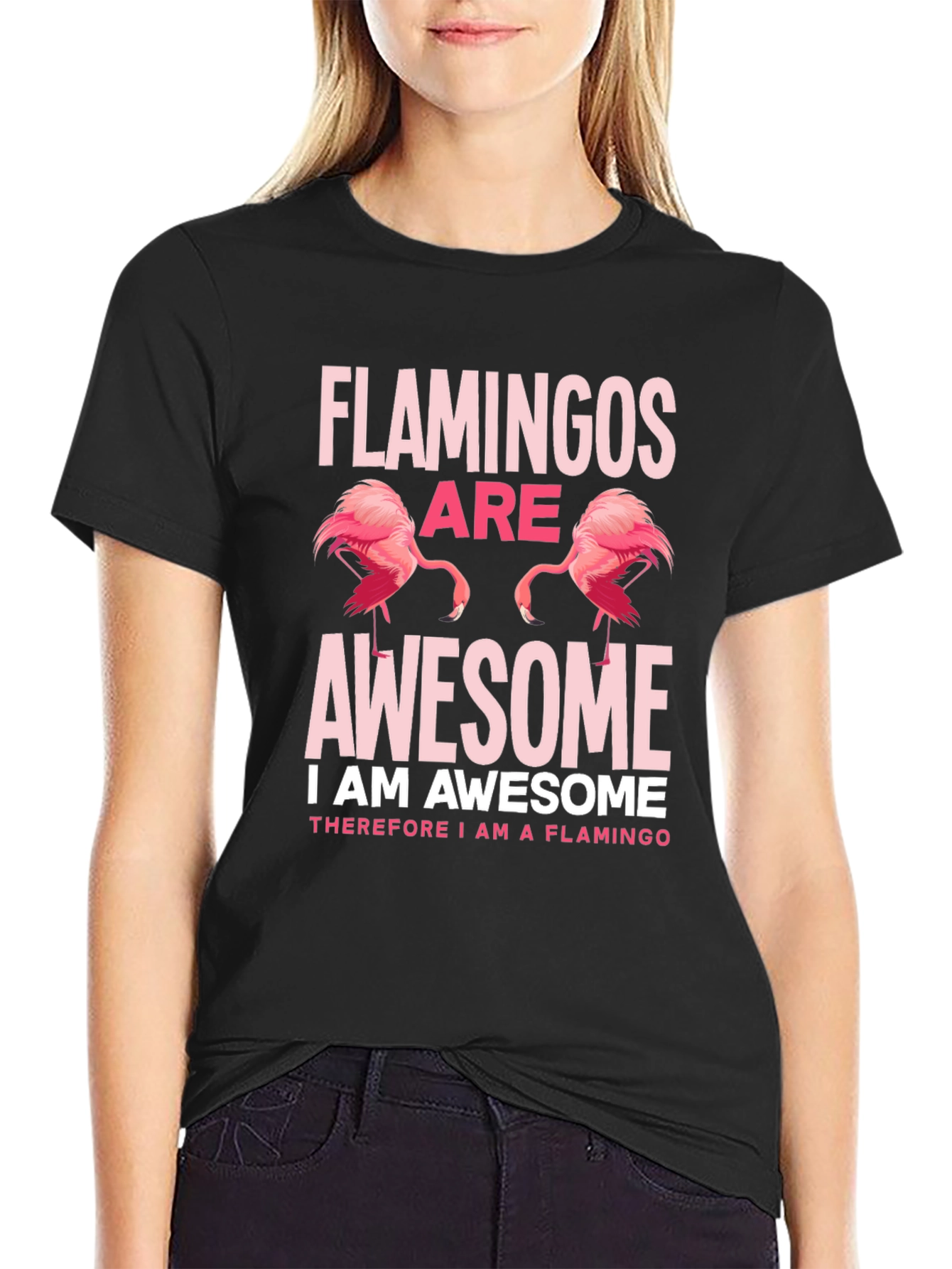 Flamingos Are Awesome Graphic Tee Shirt
