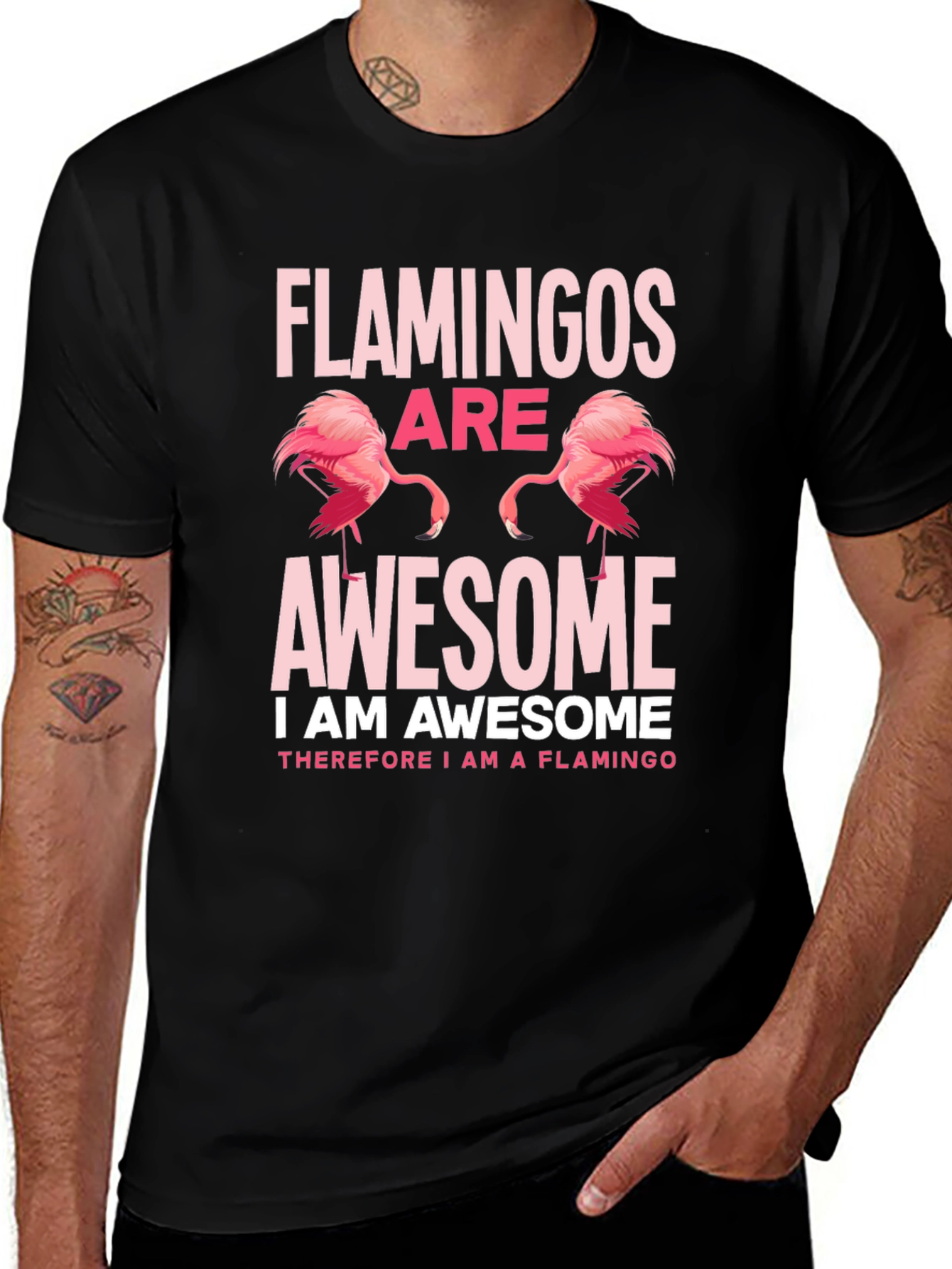 Flamingos Are Awesome Graphic Tee Shirt