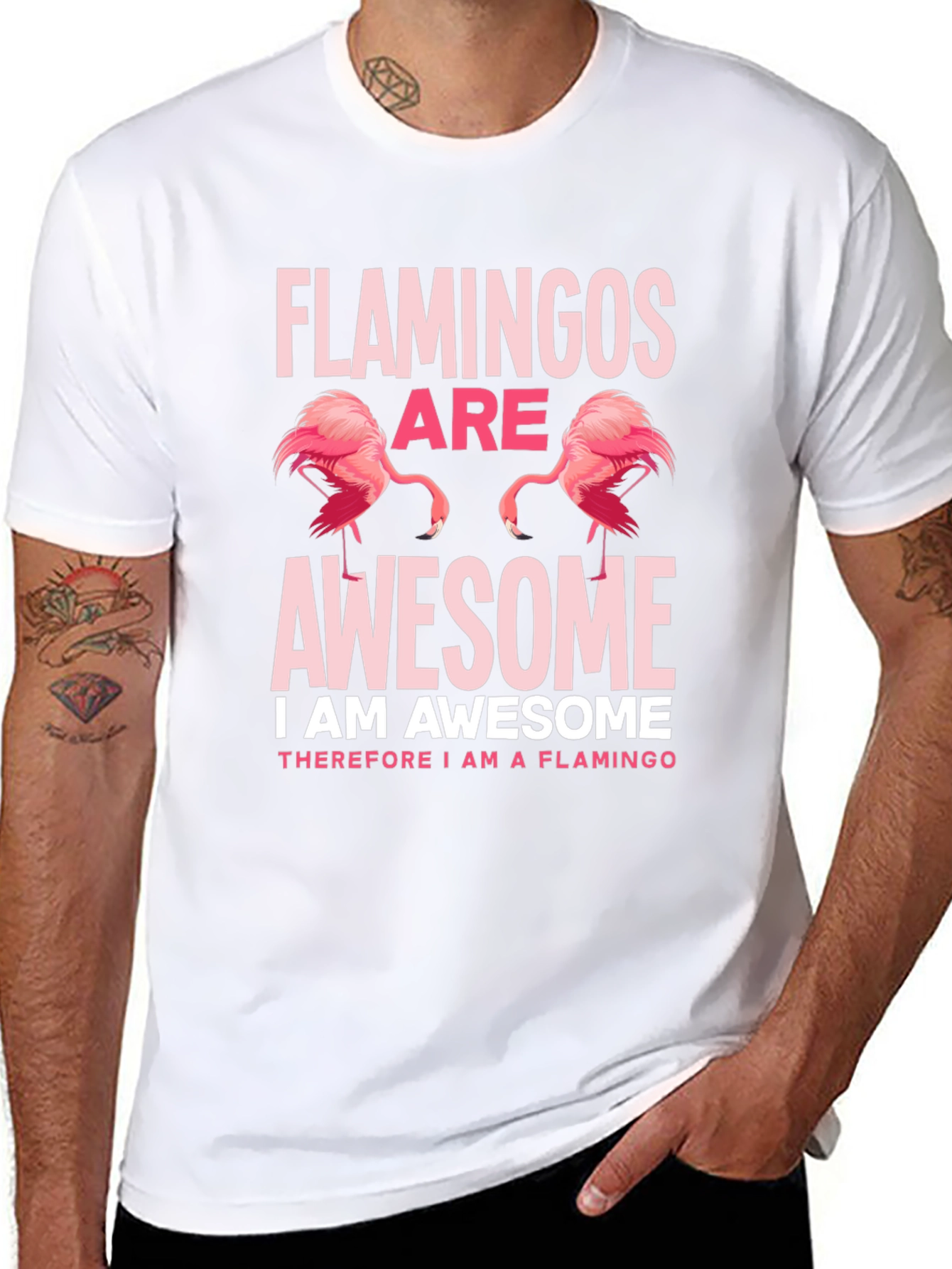 Flamingos Are Awesome Graphic Tee Shirt