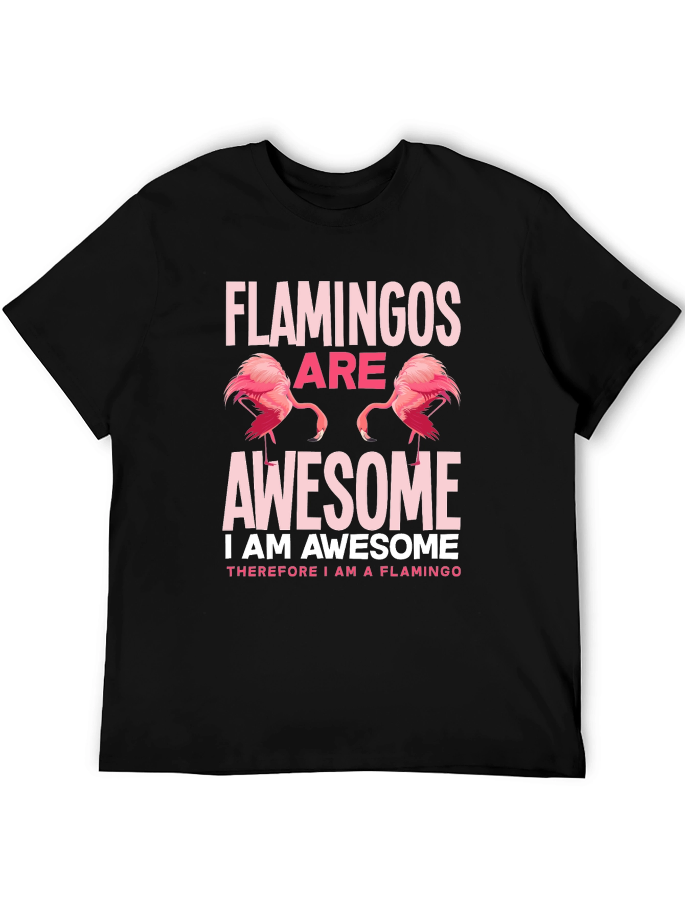 Flamingos Are Awesome Graphic Tee Shirt