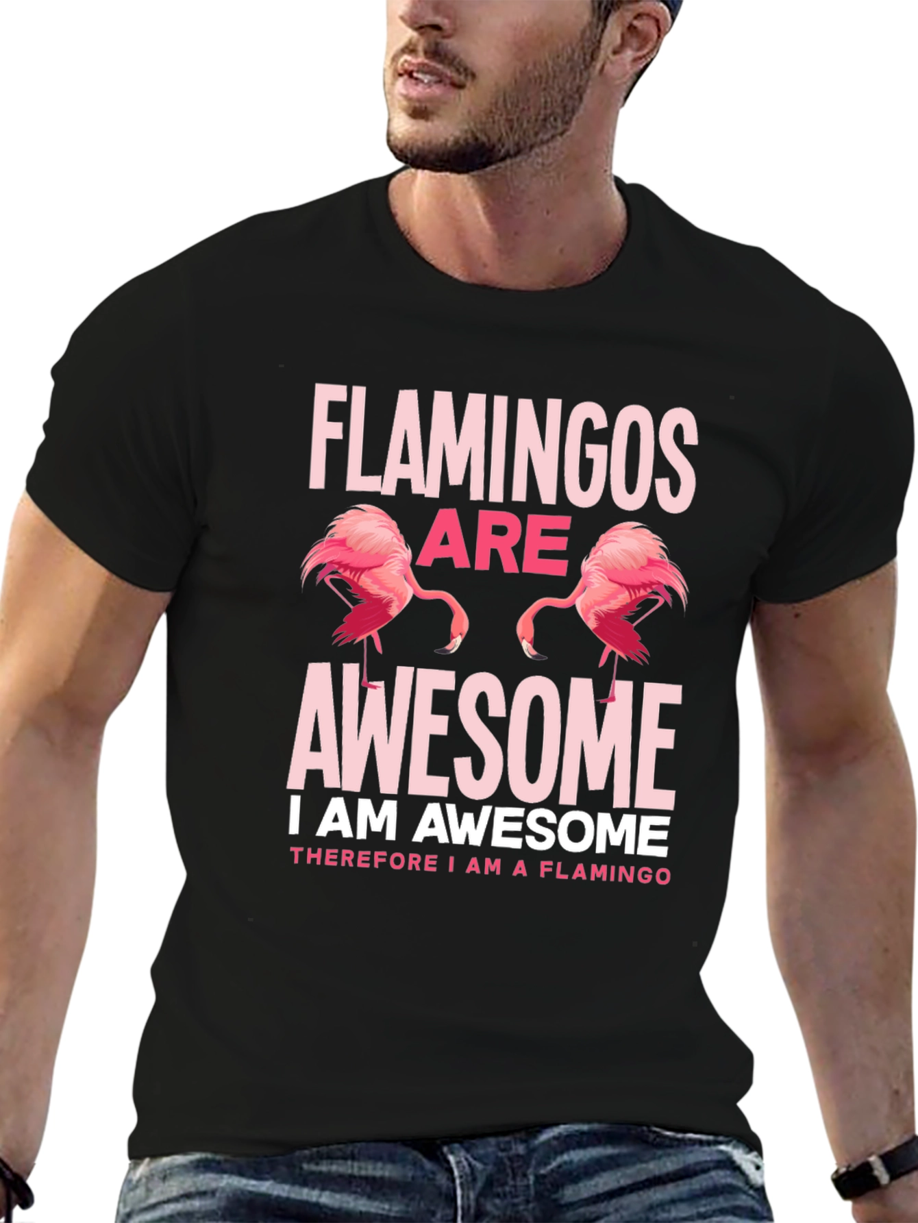 Flamingos Are Awesome Graphic Tee Shirt