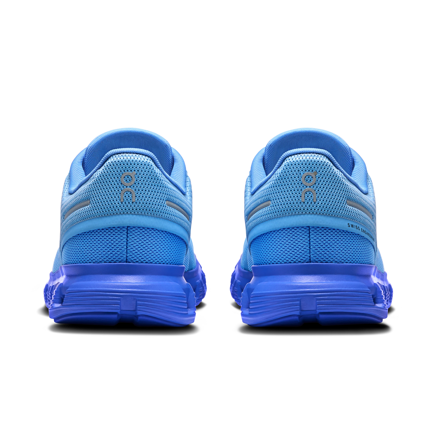 Cloud 6 SHF Gourami | Pier