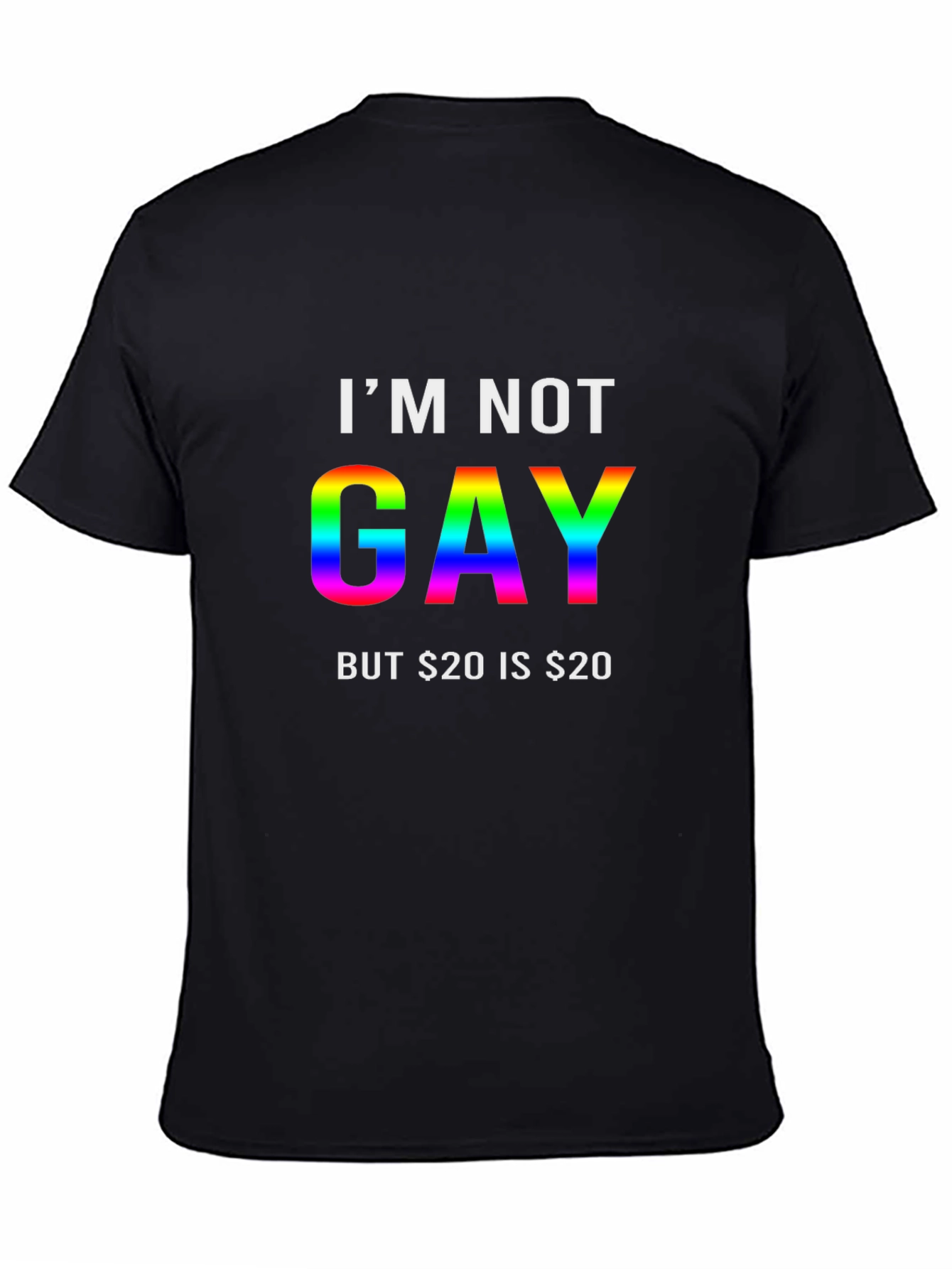 Im Not Gay T-Shirt Funny Tee