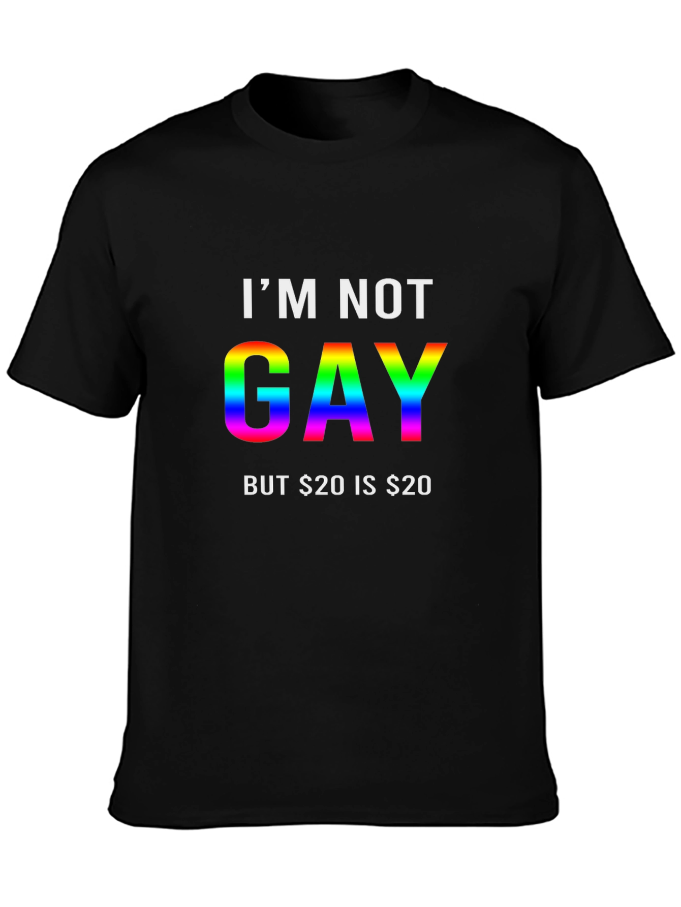 Im Not Gay T-Shirt Funny Tee