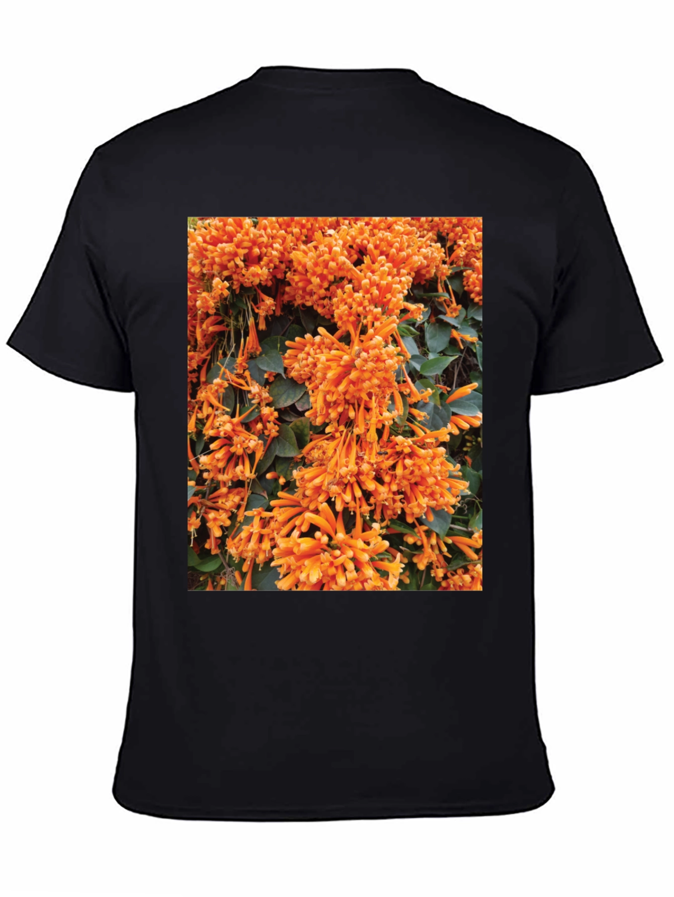 Floral Graphic Tee - Bold Orange Blooms