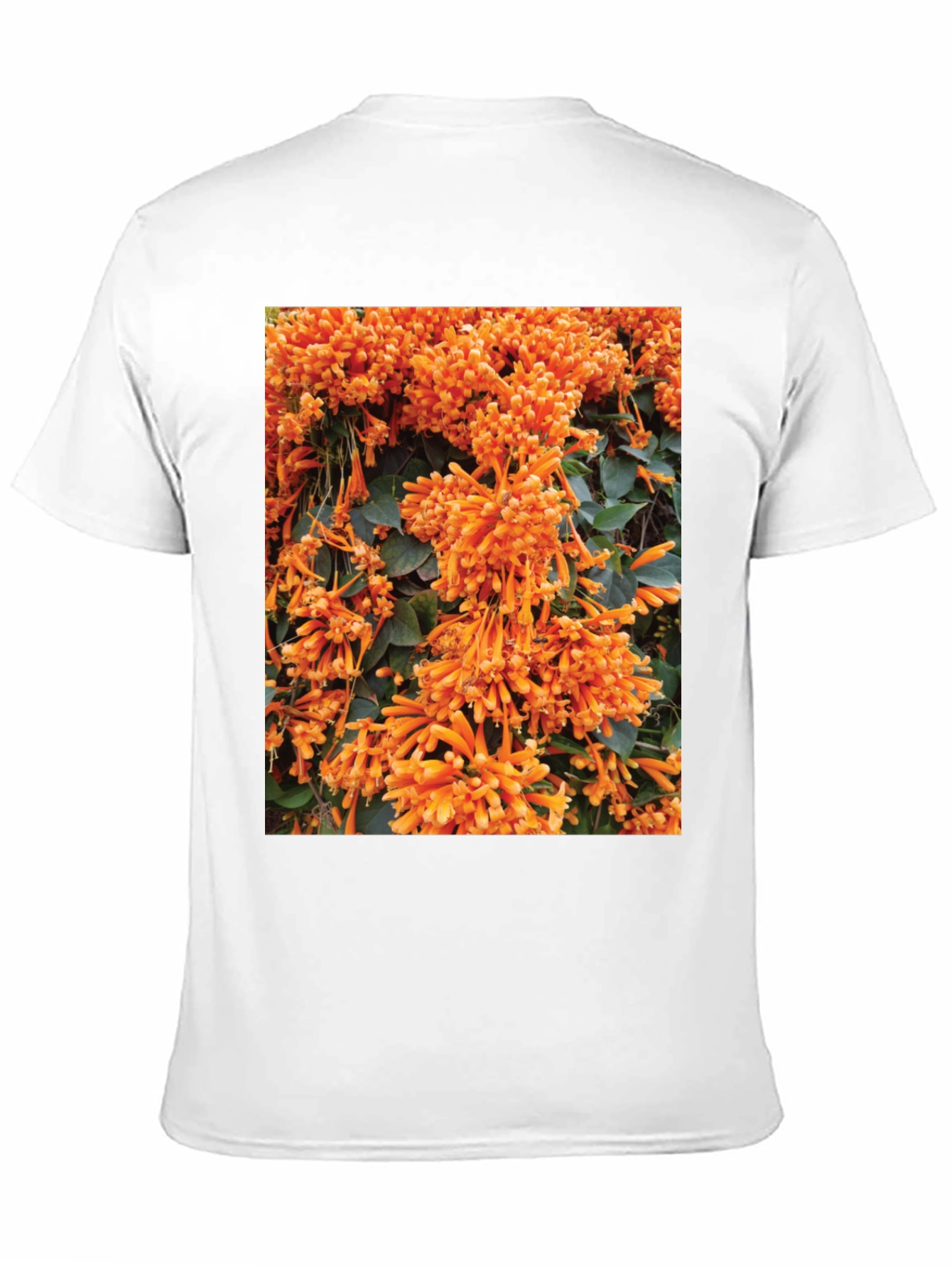 Floral Graphic Tee - Bold Orange Blooms