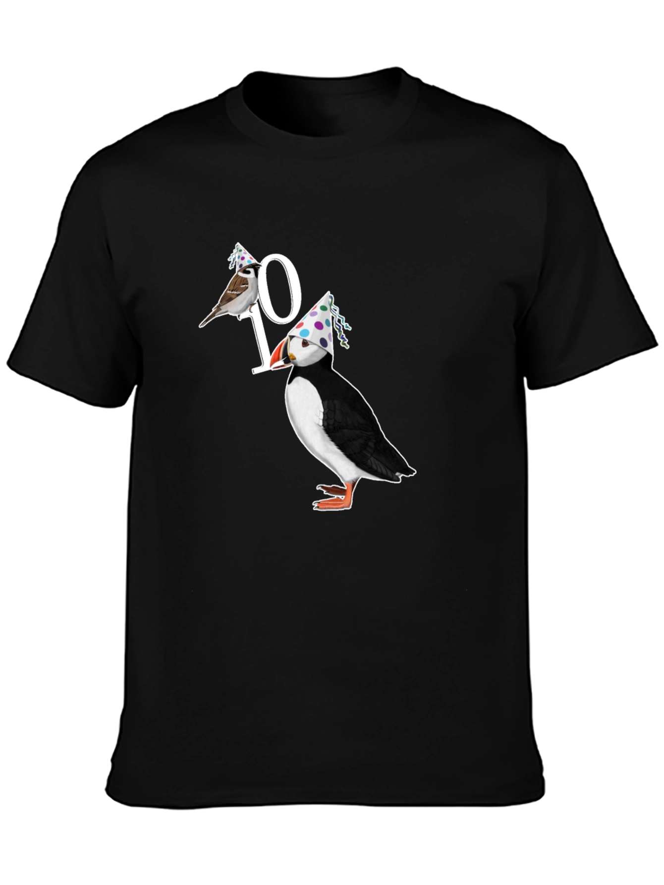 Birds 10th Birthday Graphic T-Shirt