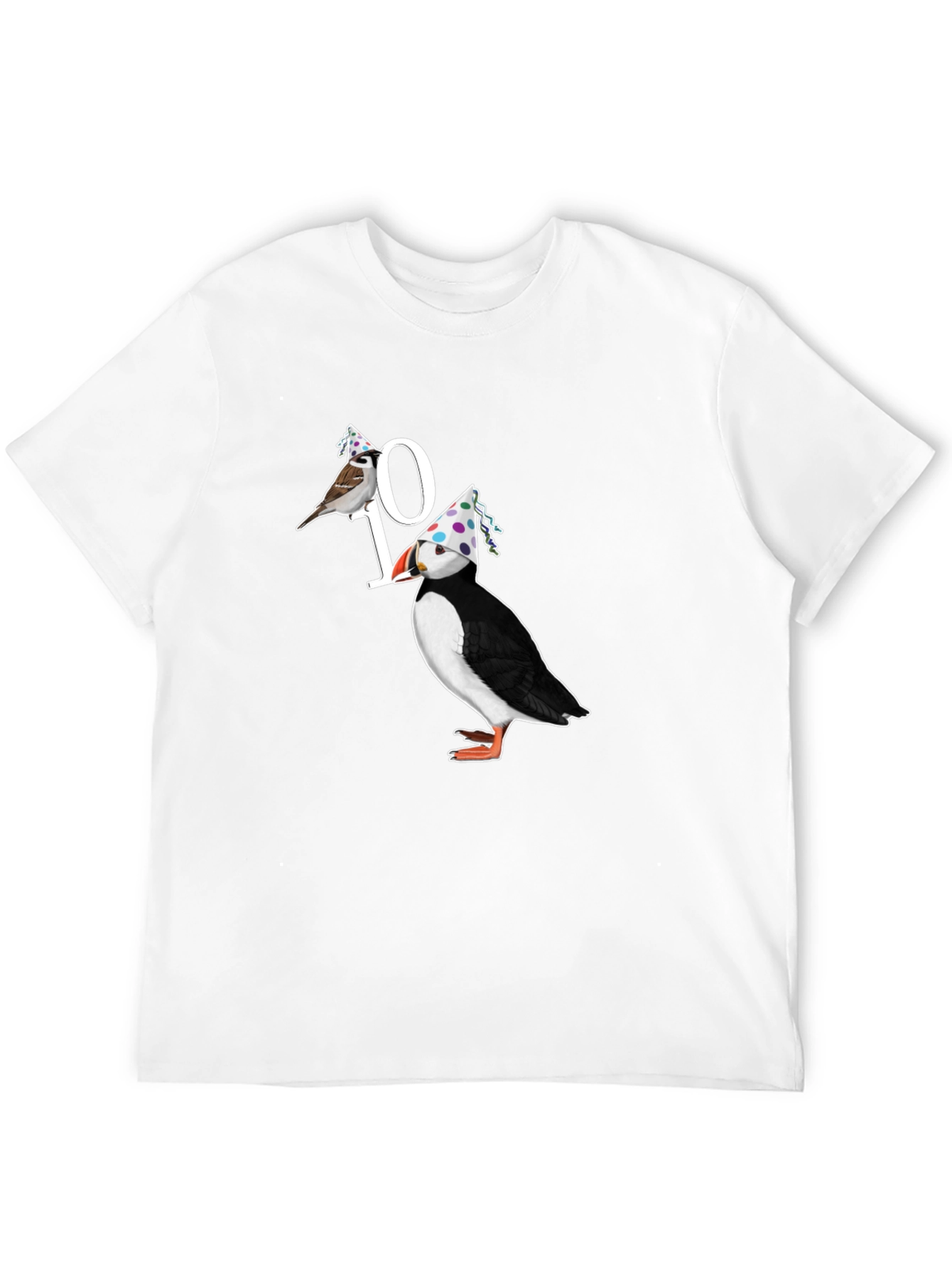 Birds 10th Birthday Graphic T-Shirt
