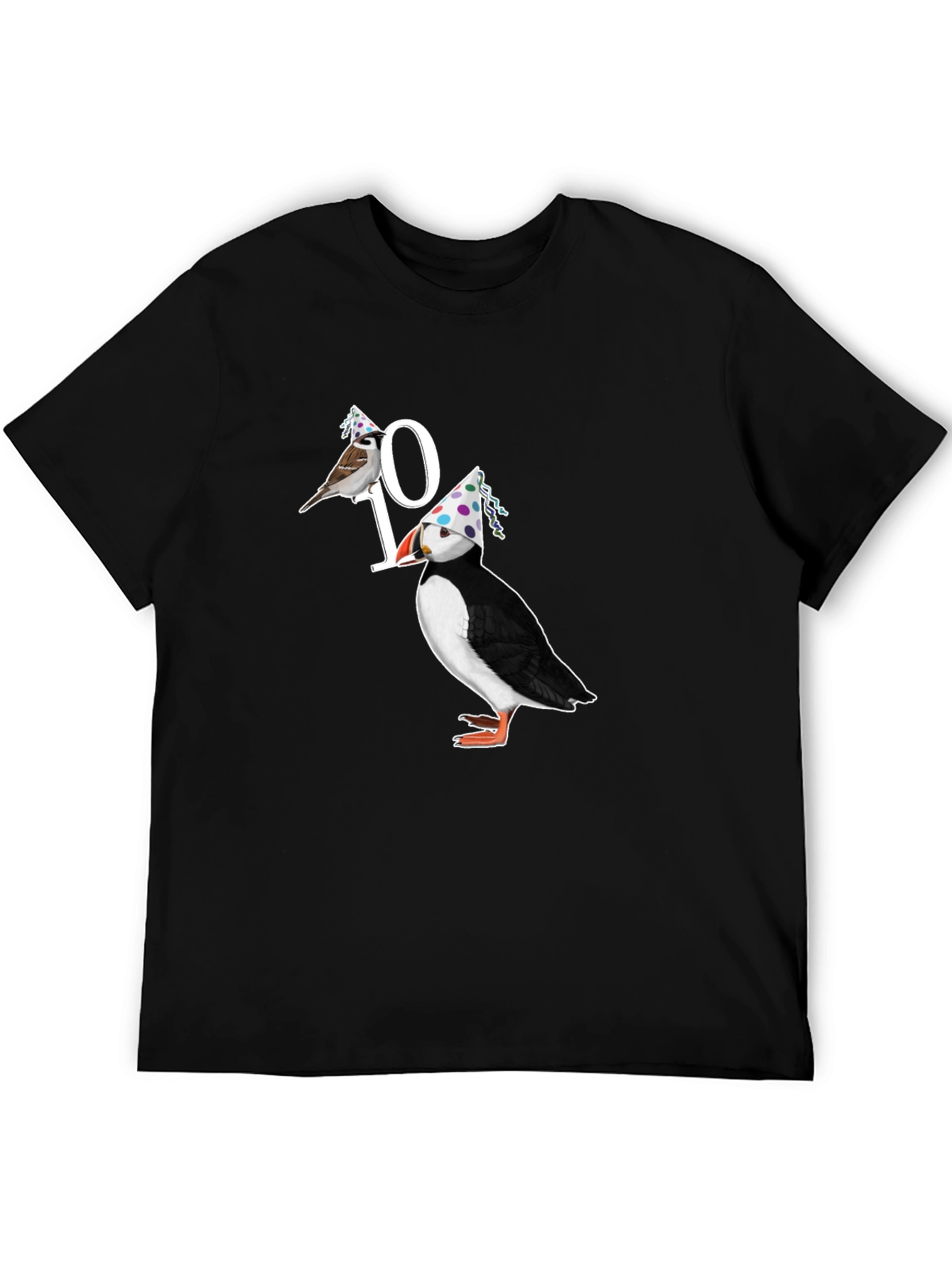 Birds 10th Birthday Graphic T-Shirt