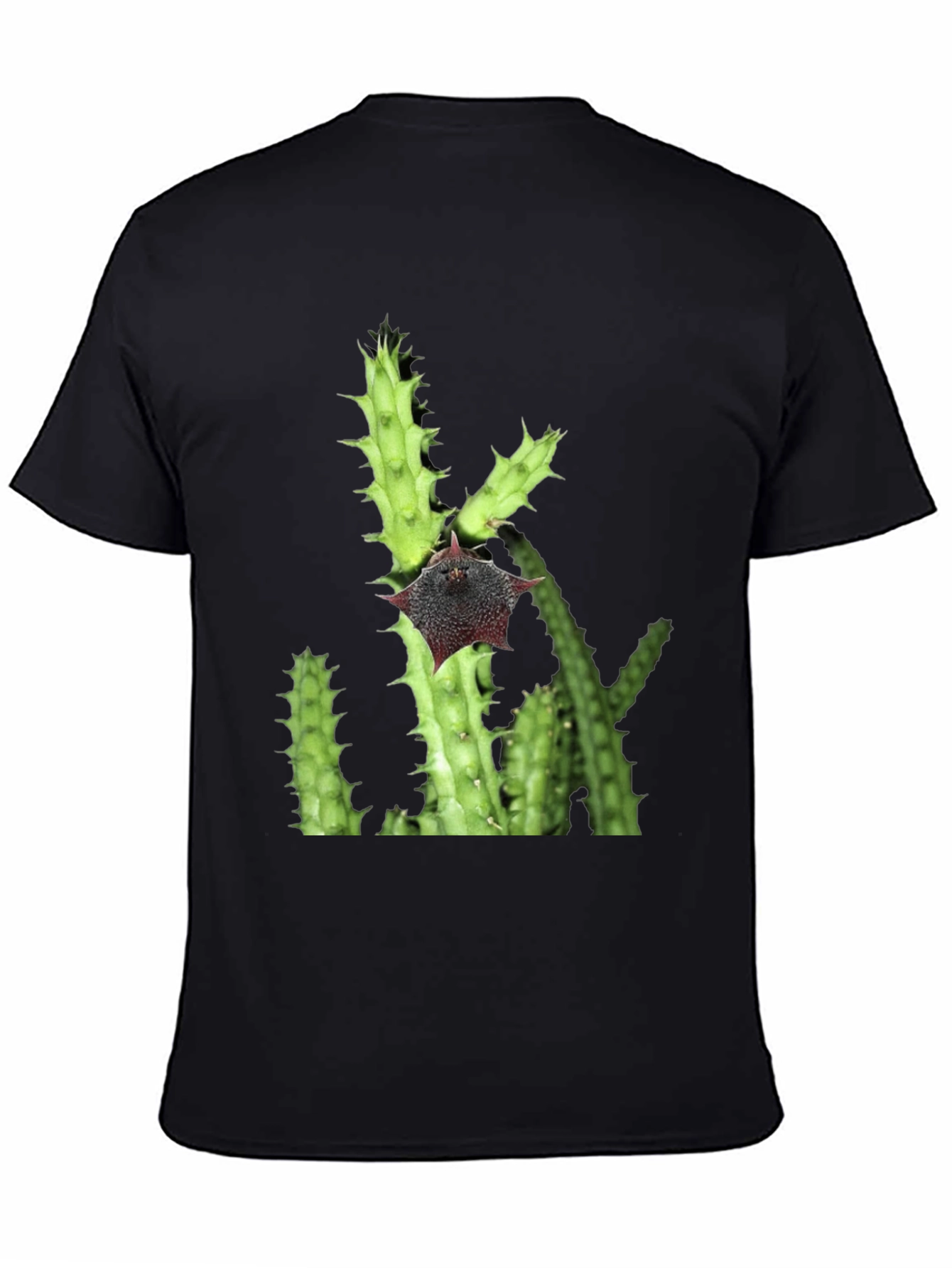 Cactus Flower Graphic T-Shirt