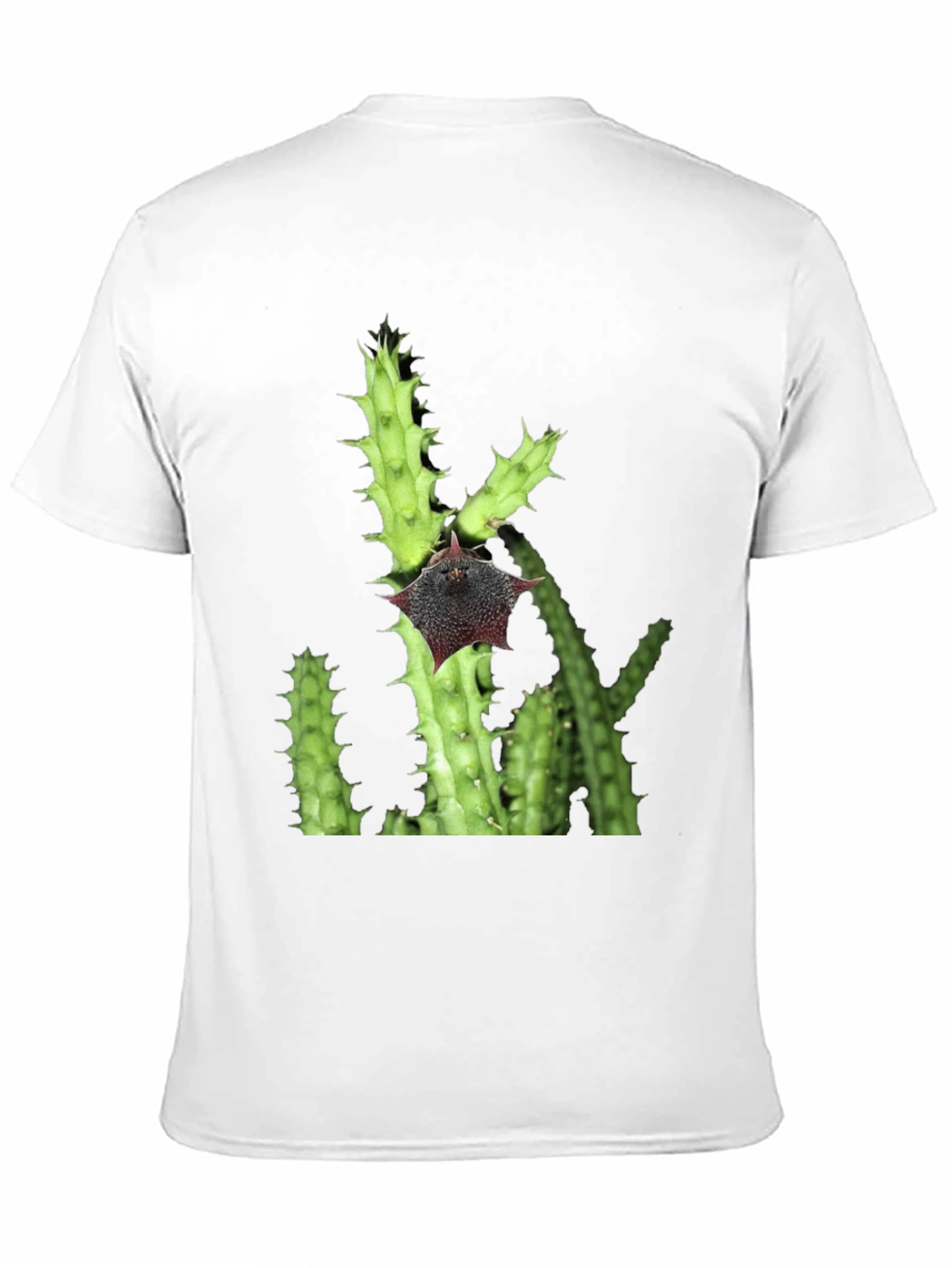 Cactus Flower Graphic T-Shirt