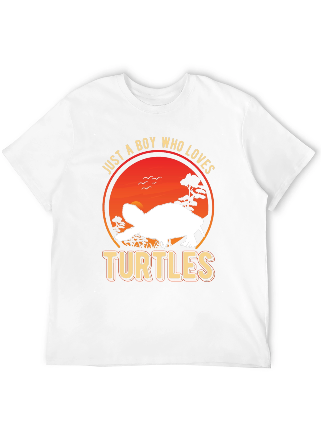 Just A Boy Who Loves Turtles T-Shirt