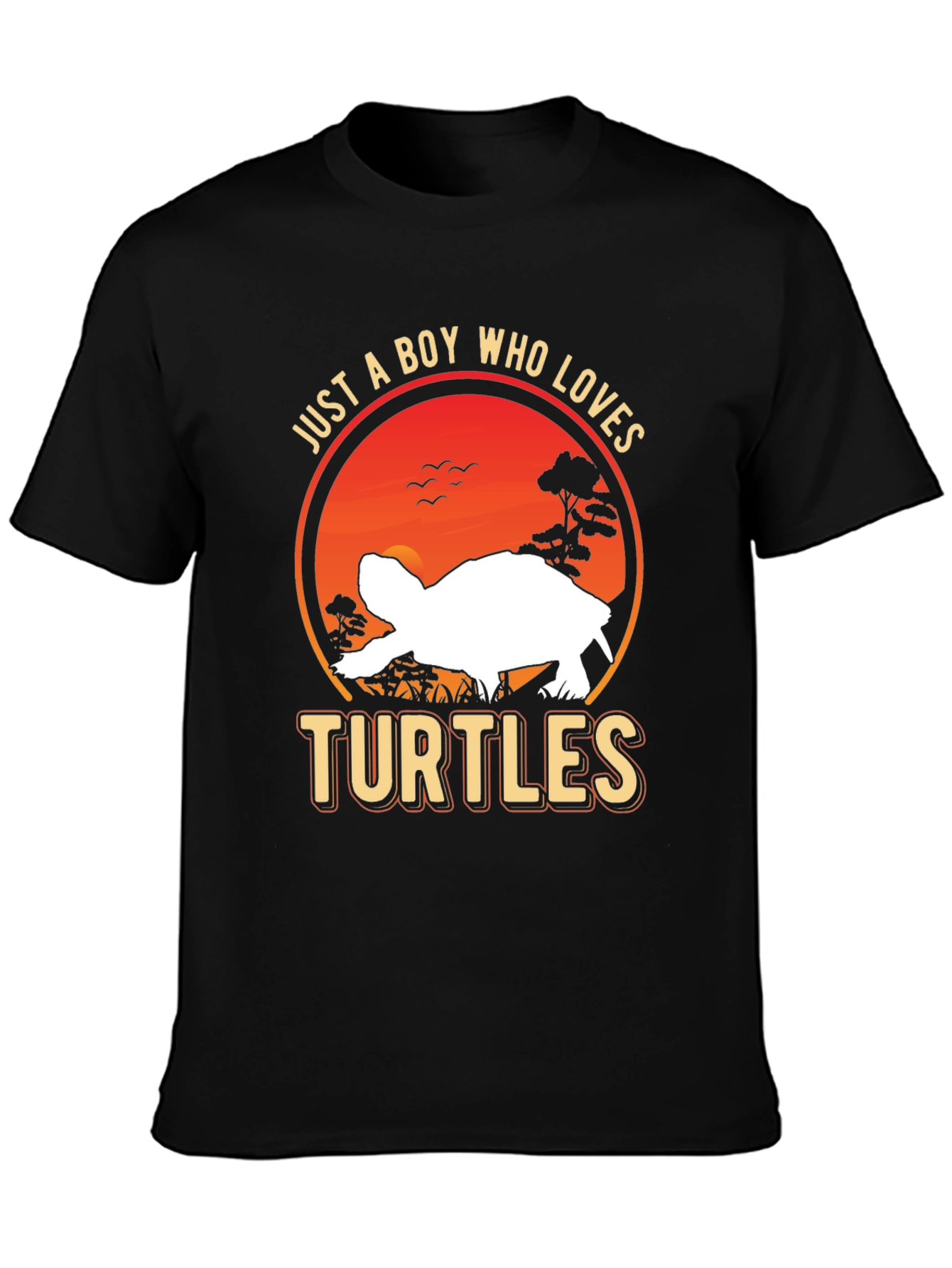 Just A Boy Who Loves Turtles T-Shirt