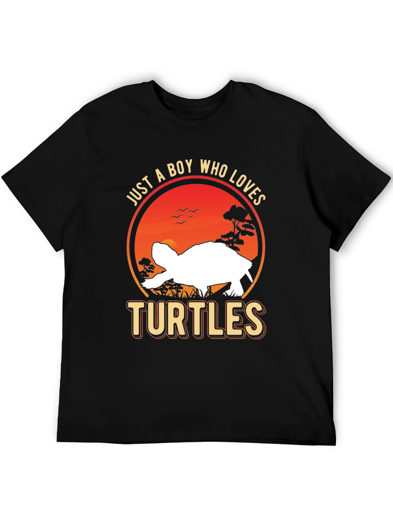 Just A Boy Who Loves Turtles T-Shirt