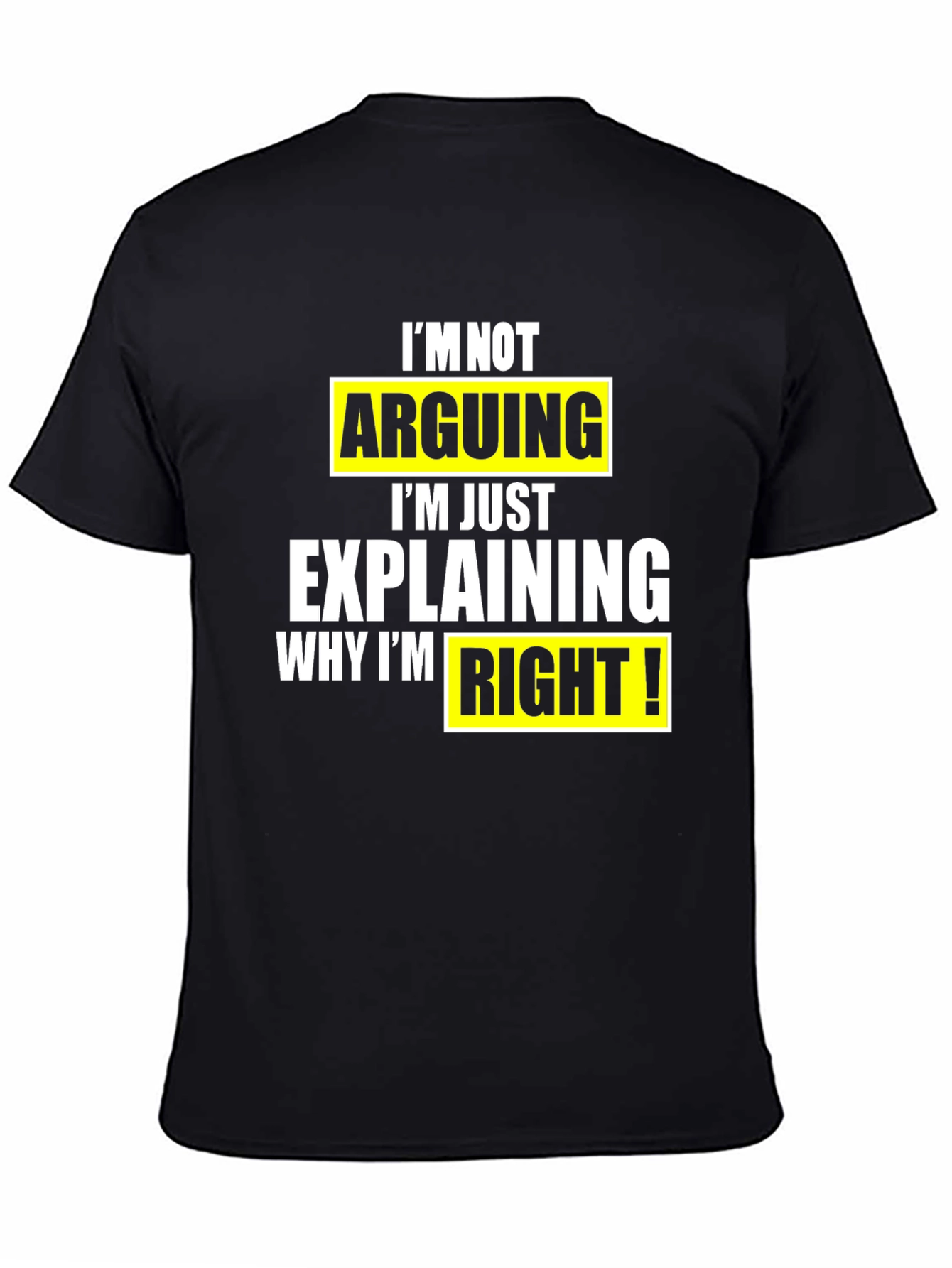 Funny Sarcastic T-Shirt: Im Not Arguing