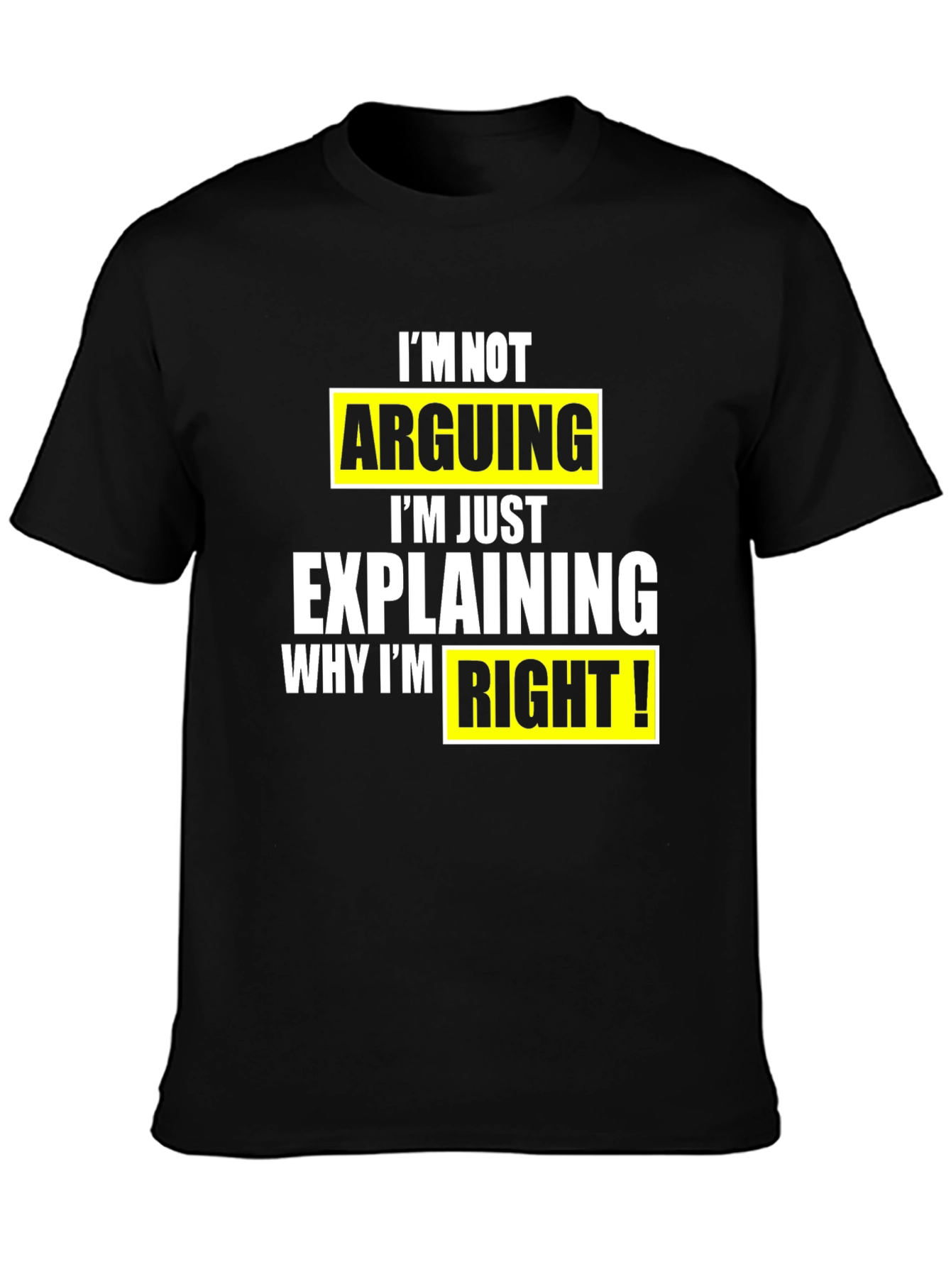 Funny Sarcastic T-Shirt: Im Not Arguing
