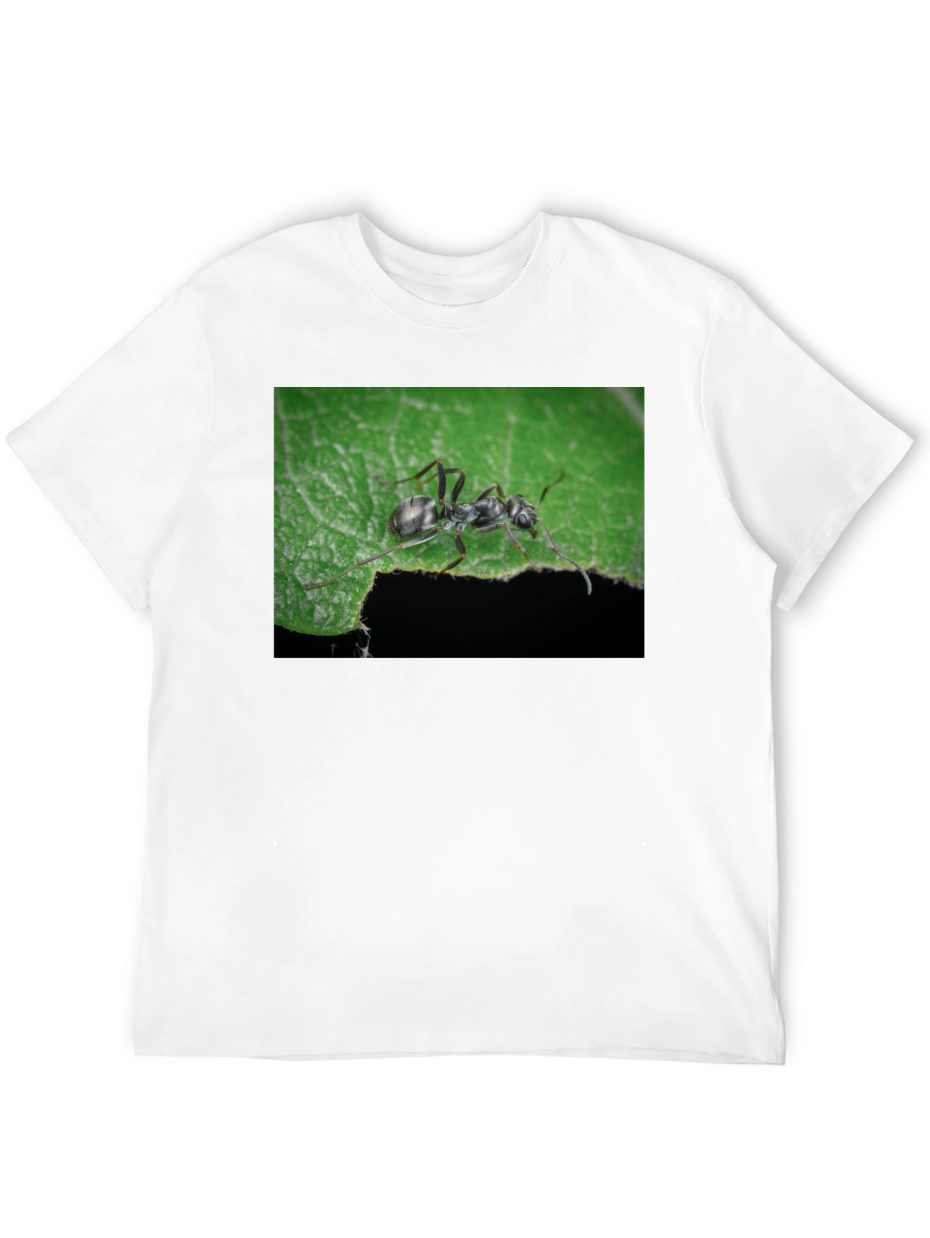 Ant on Leaf Graphic Tee - Nature Lovers T-Shirt