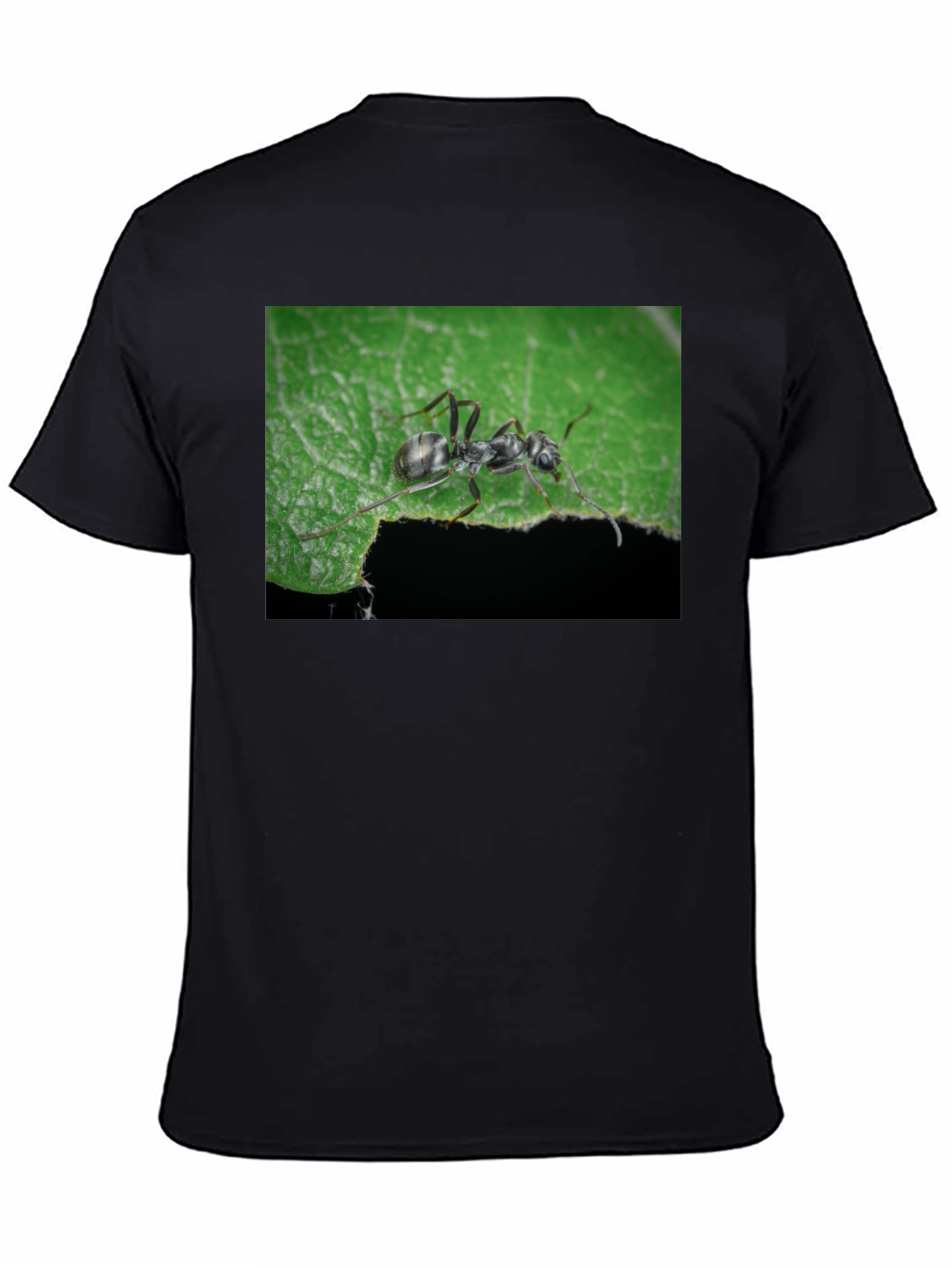Ant on Leaf Graphic Tee - Nature Lovers T-Shirt