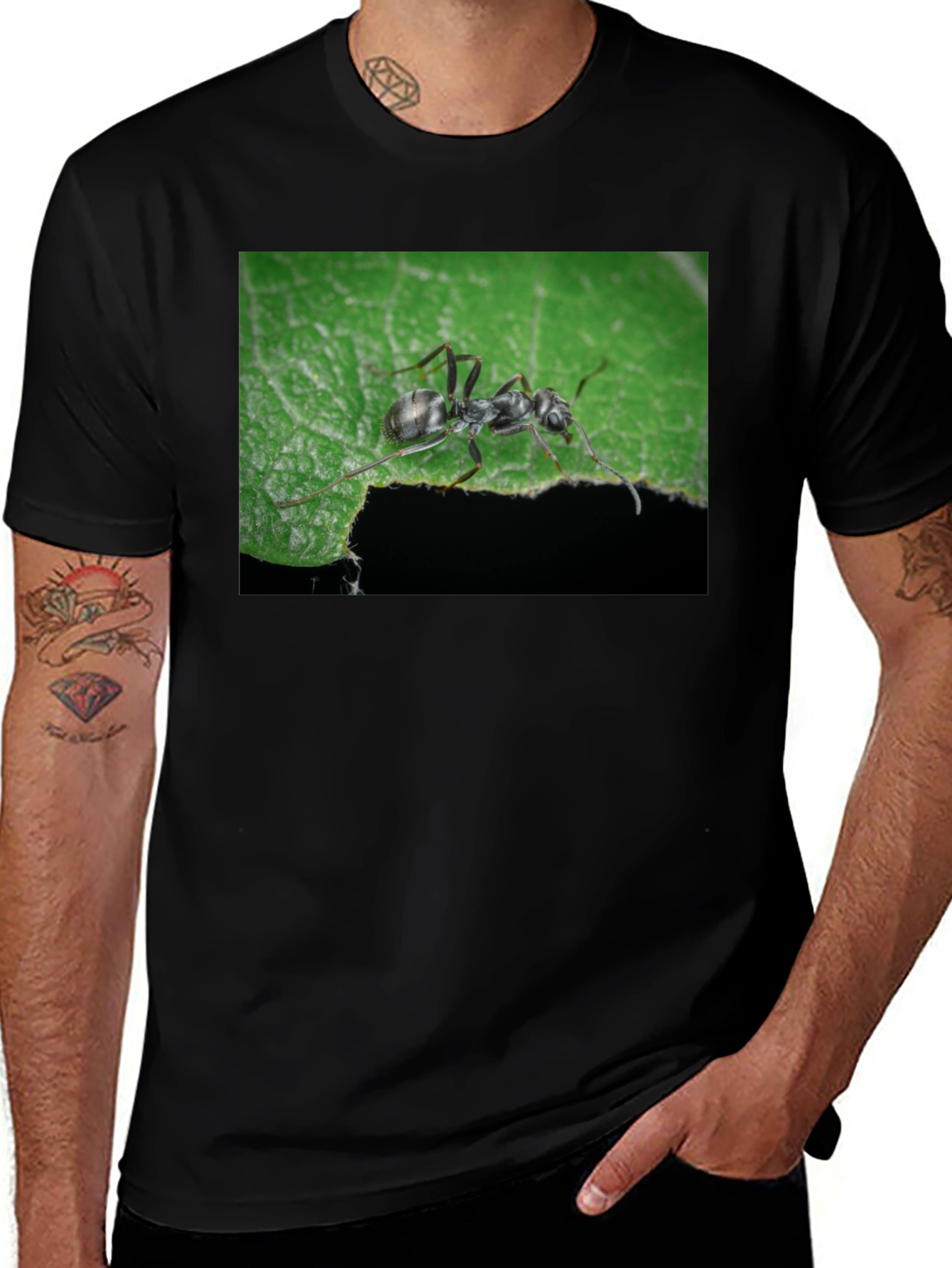Ant on Leaf Graphic Tee - Nature Lovers T-Shirt