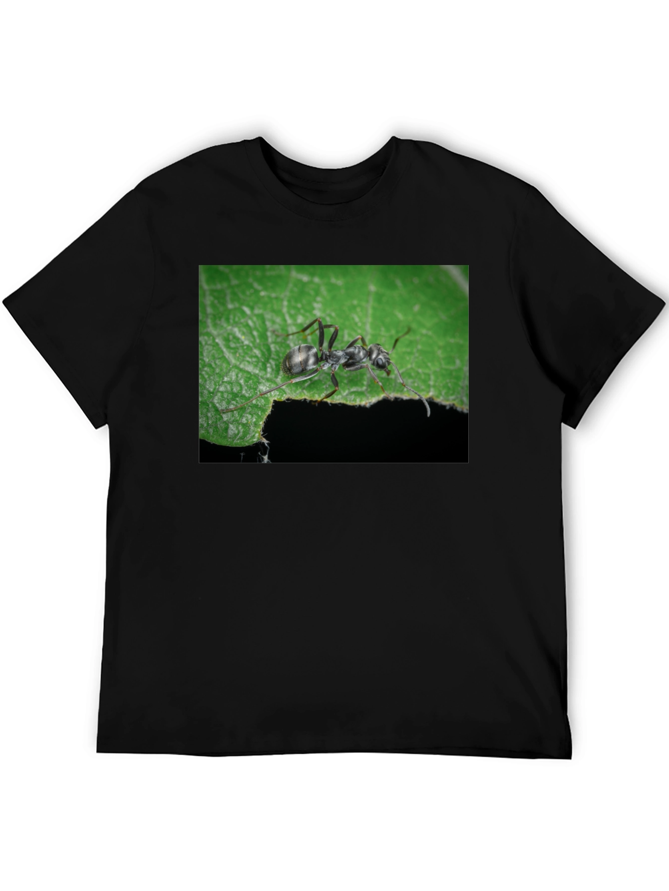 Ant on Leaf Graphic Tee - Nature Lovers T-Shirt