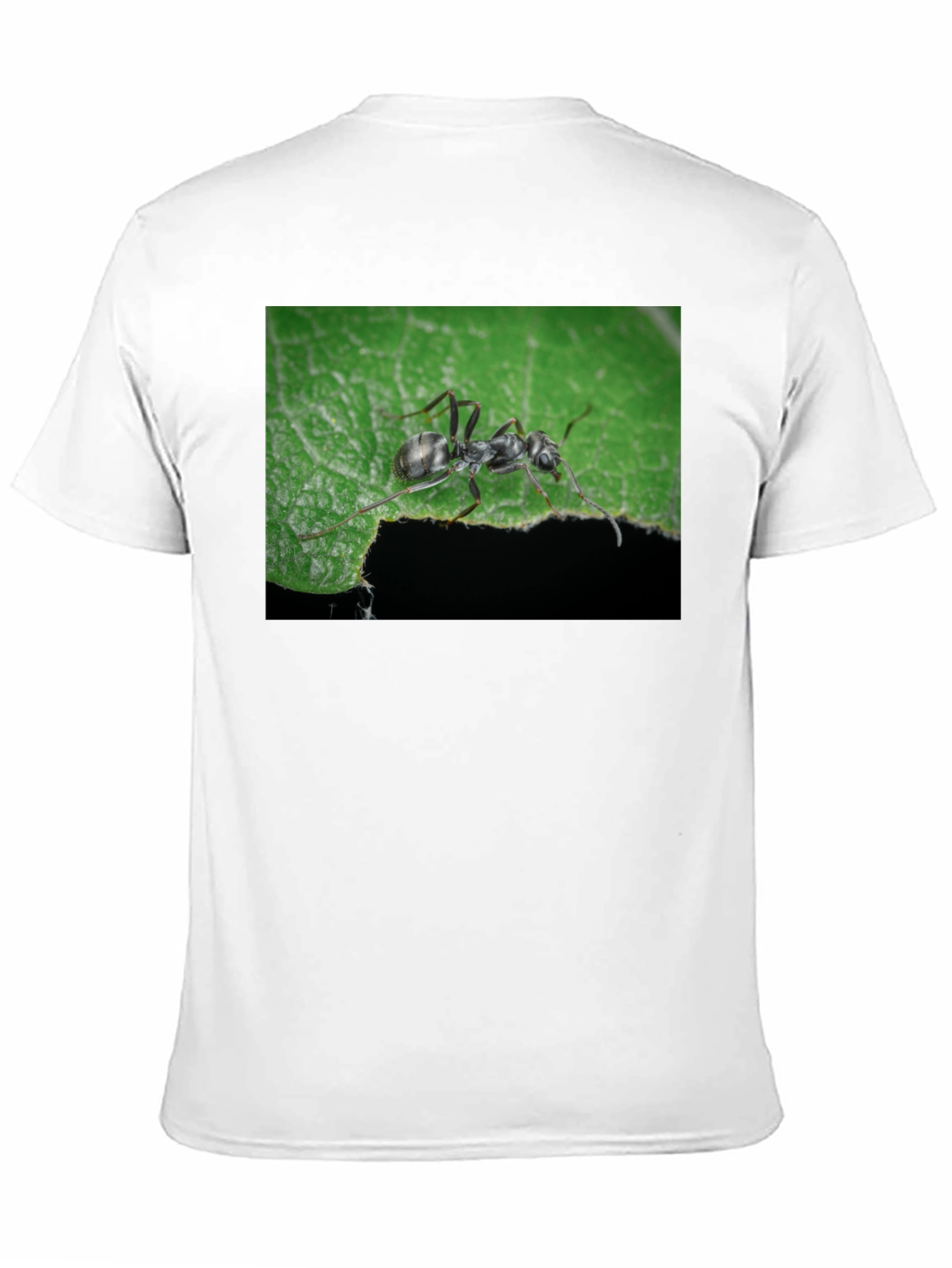 Ant on Leaf Graphic Tee - Nature Lovers T-Shirt