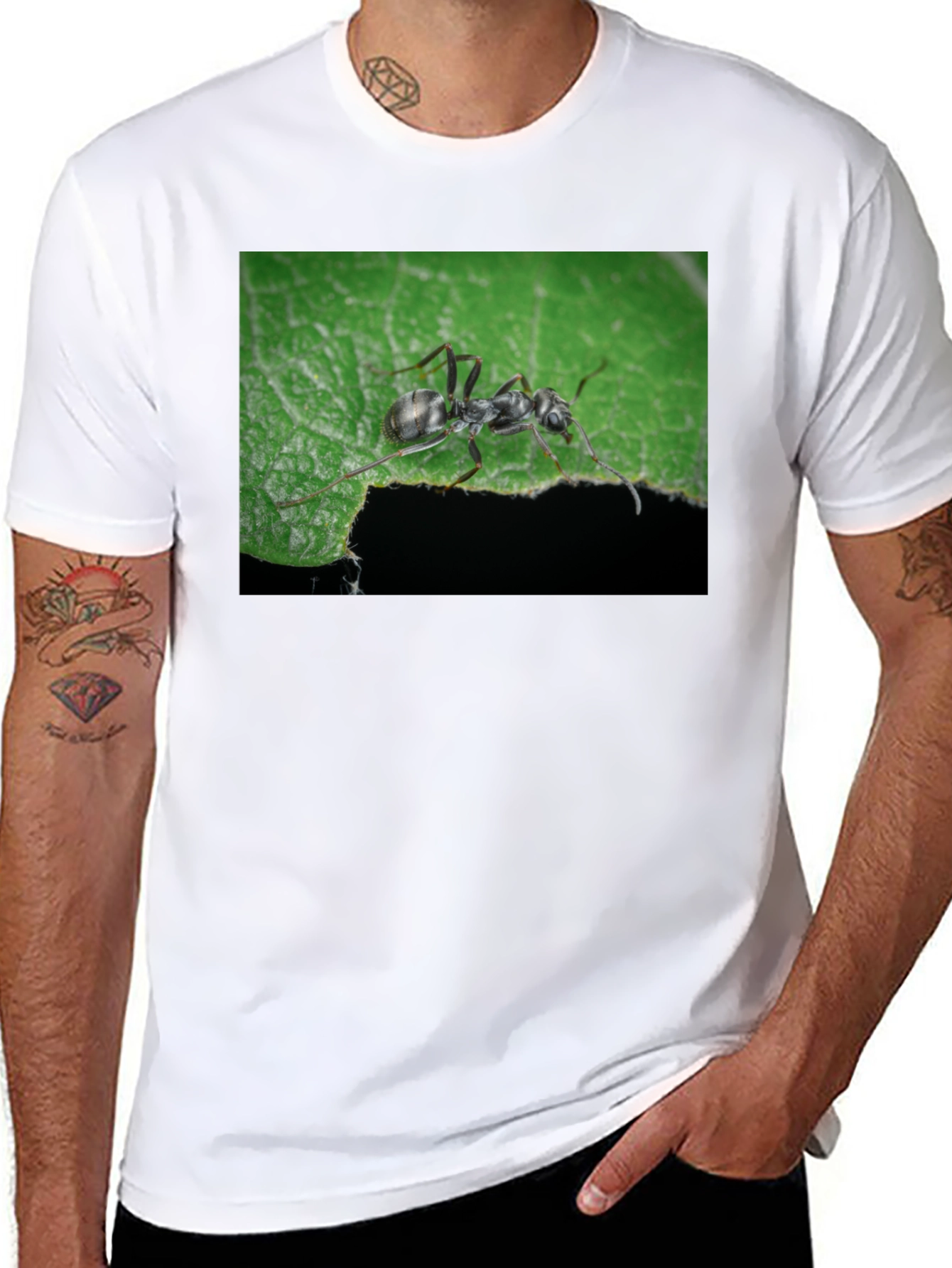 Ant on Leaf Graphic Tee - Nature Lovers T-Shirt
