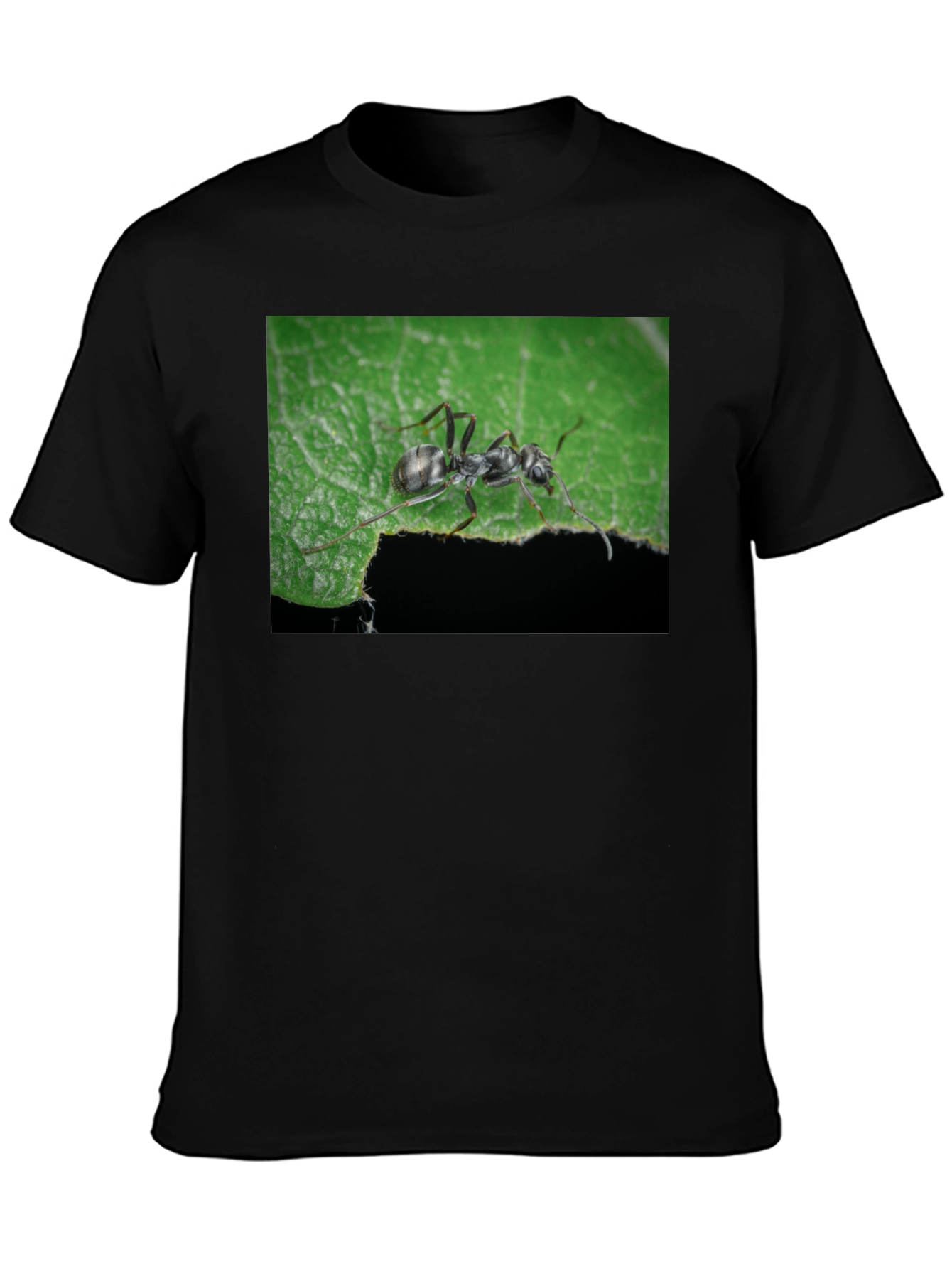 Ant on Leaf Graphic Tee - Nature Lovers T-Shirt