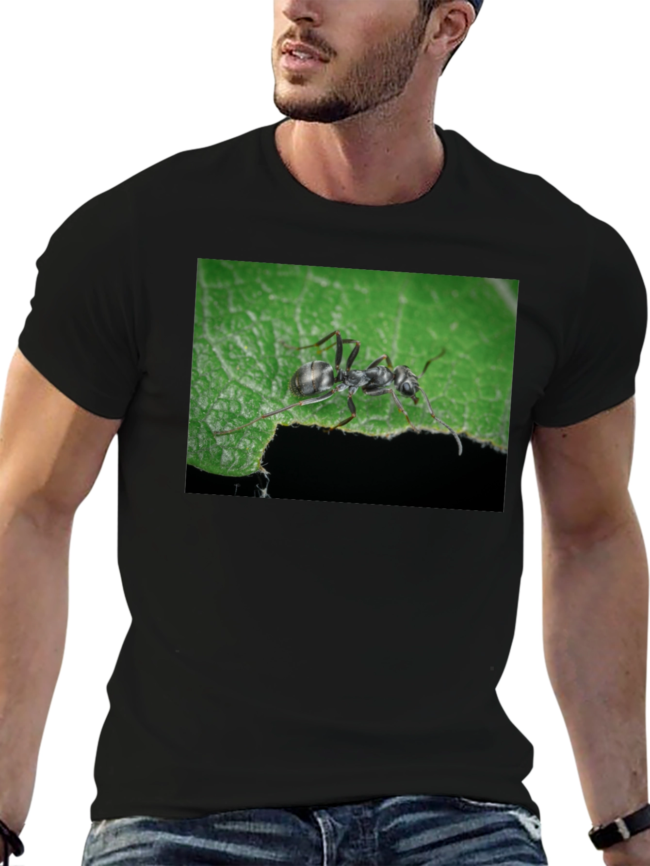 Ant on Leaf Graphic Tee - Nature Lovers T-Shirt