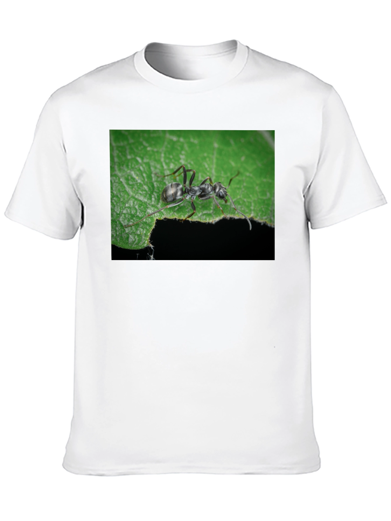 Ant on Leaf Graphic Tee - Nature Lovers T-Shirt