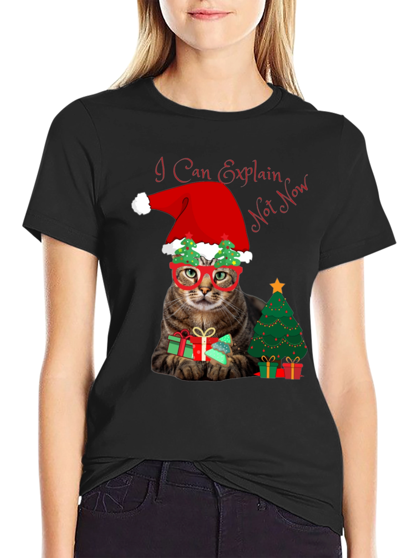 I Can Explain - Not Now Christmas Cat T-Shirt