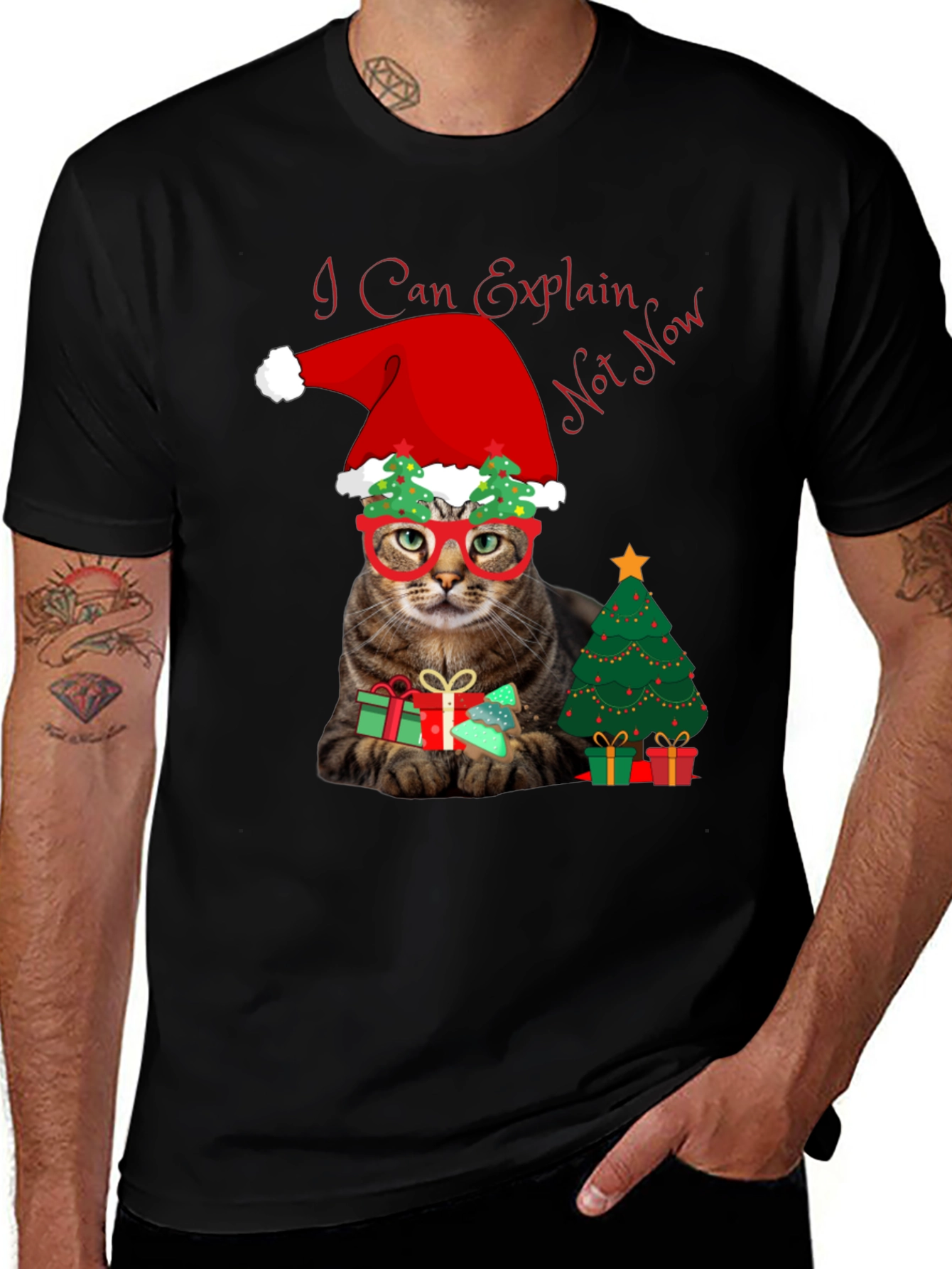 I Can Explain - Not Now Christmas Cat T-Shirt