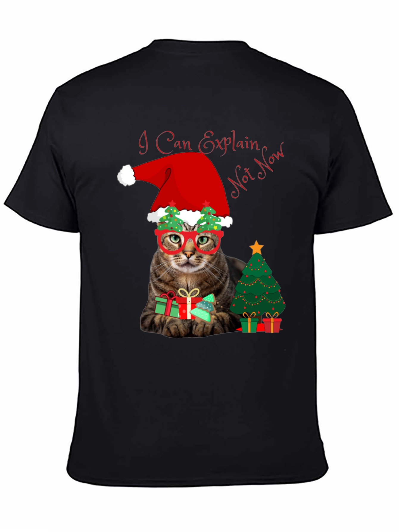 I Can Explain - Not Now Christmas Cat T-Shirt