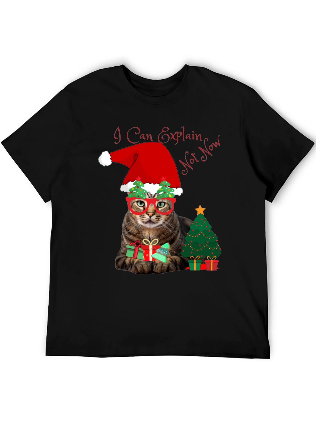 I Can Explain - Not Now Christmas Cat T-Shirt