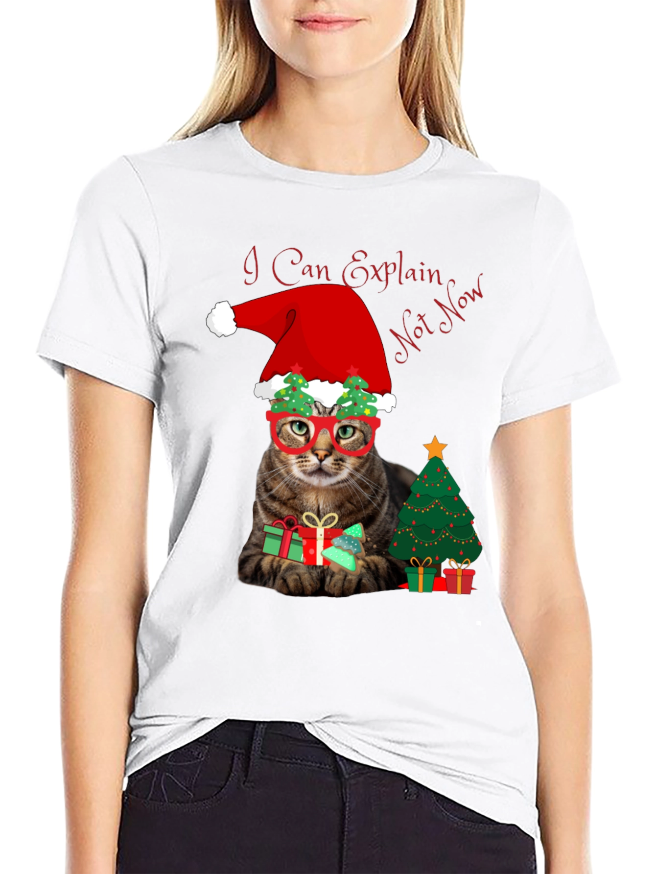 I Can Explain - Not Now Christmas Cat T-Shirt