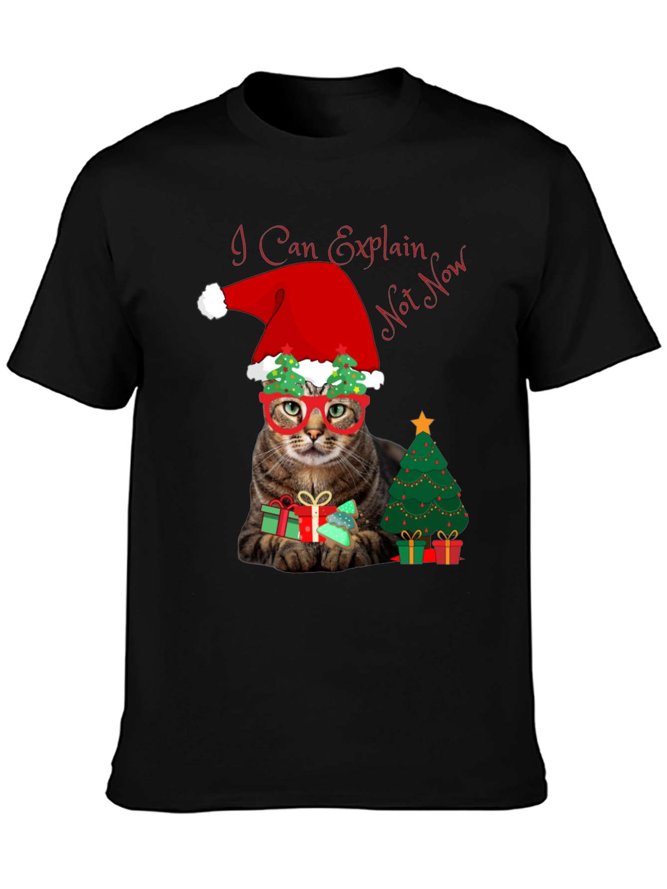 I Can Explain - Not Now Christmas Cat T-Shirt