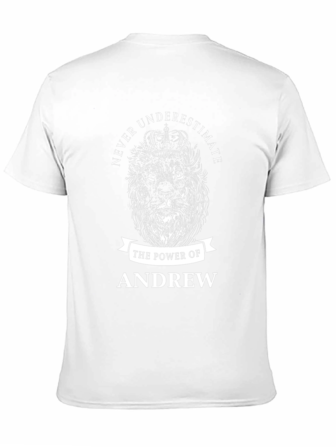 Never Underestimate Andrew T-Shirt