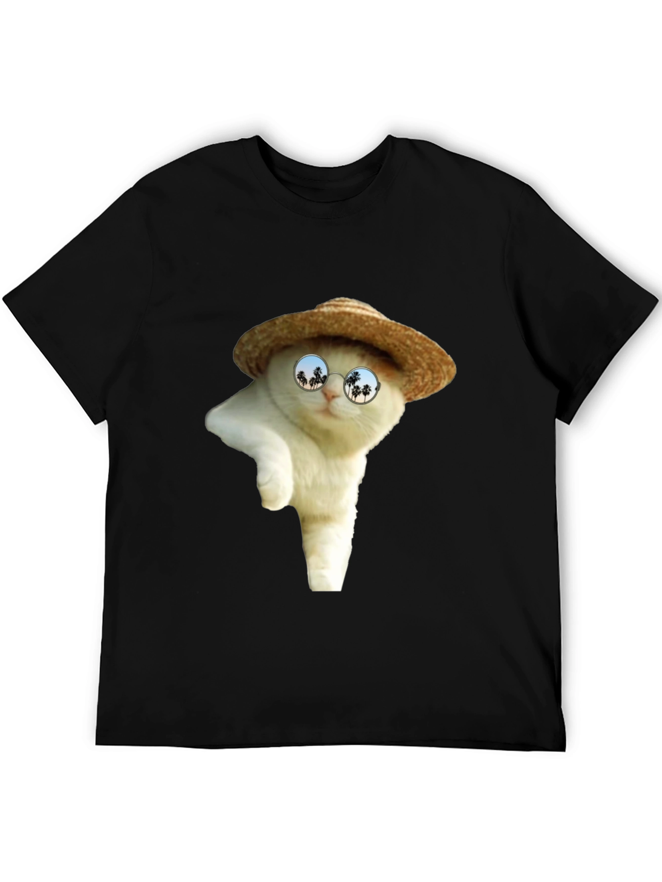 Cat in Hat T-Shirt